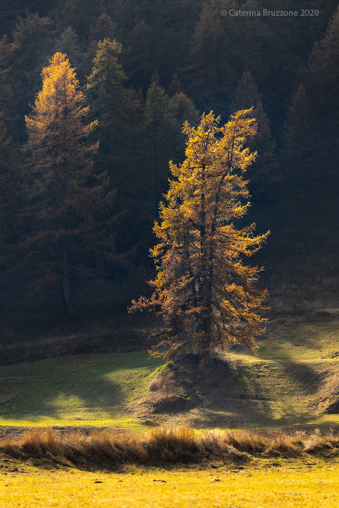 Luci d'Autunno