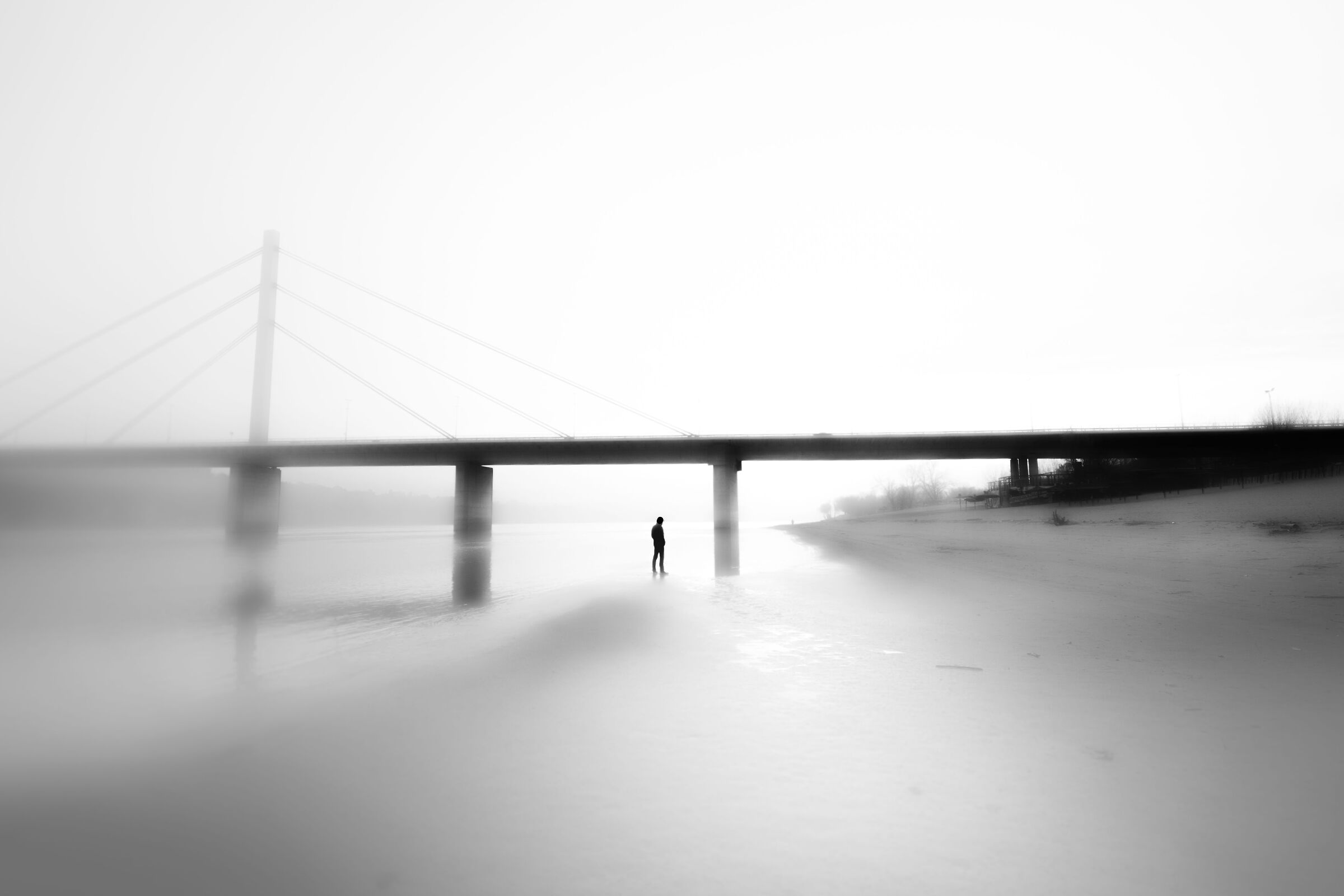 nella nebbia