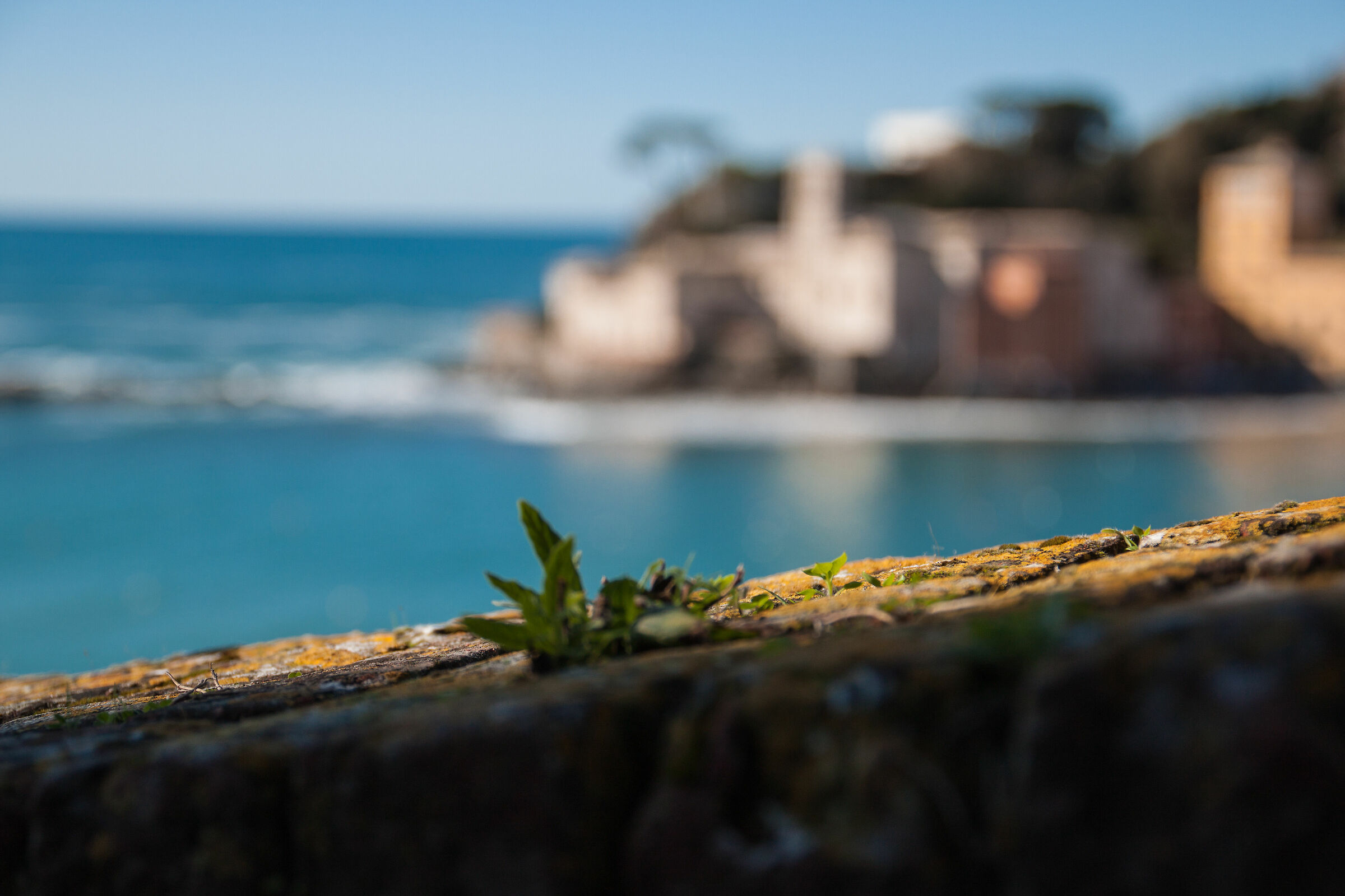 Sestri Levante