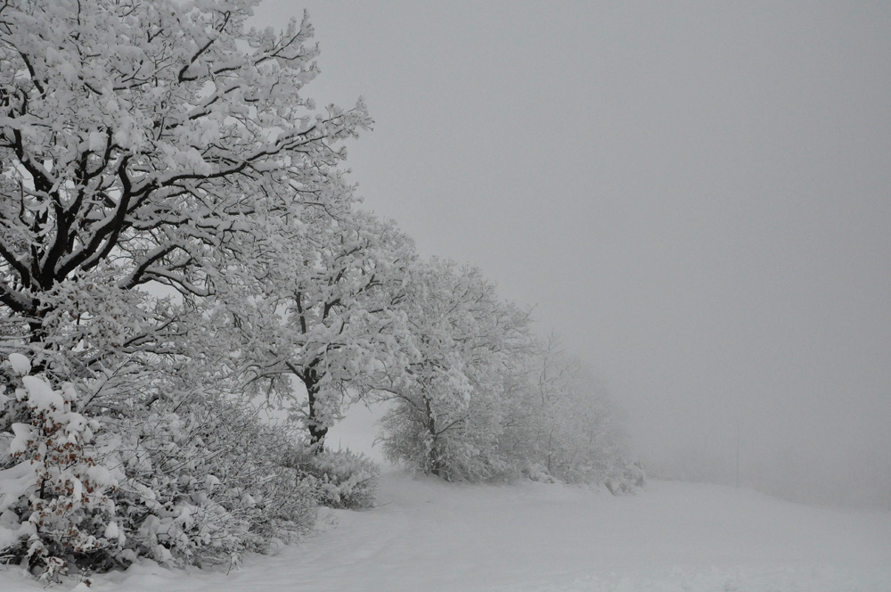 Neve e nebbia