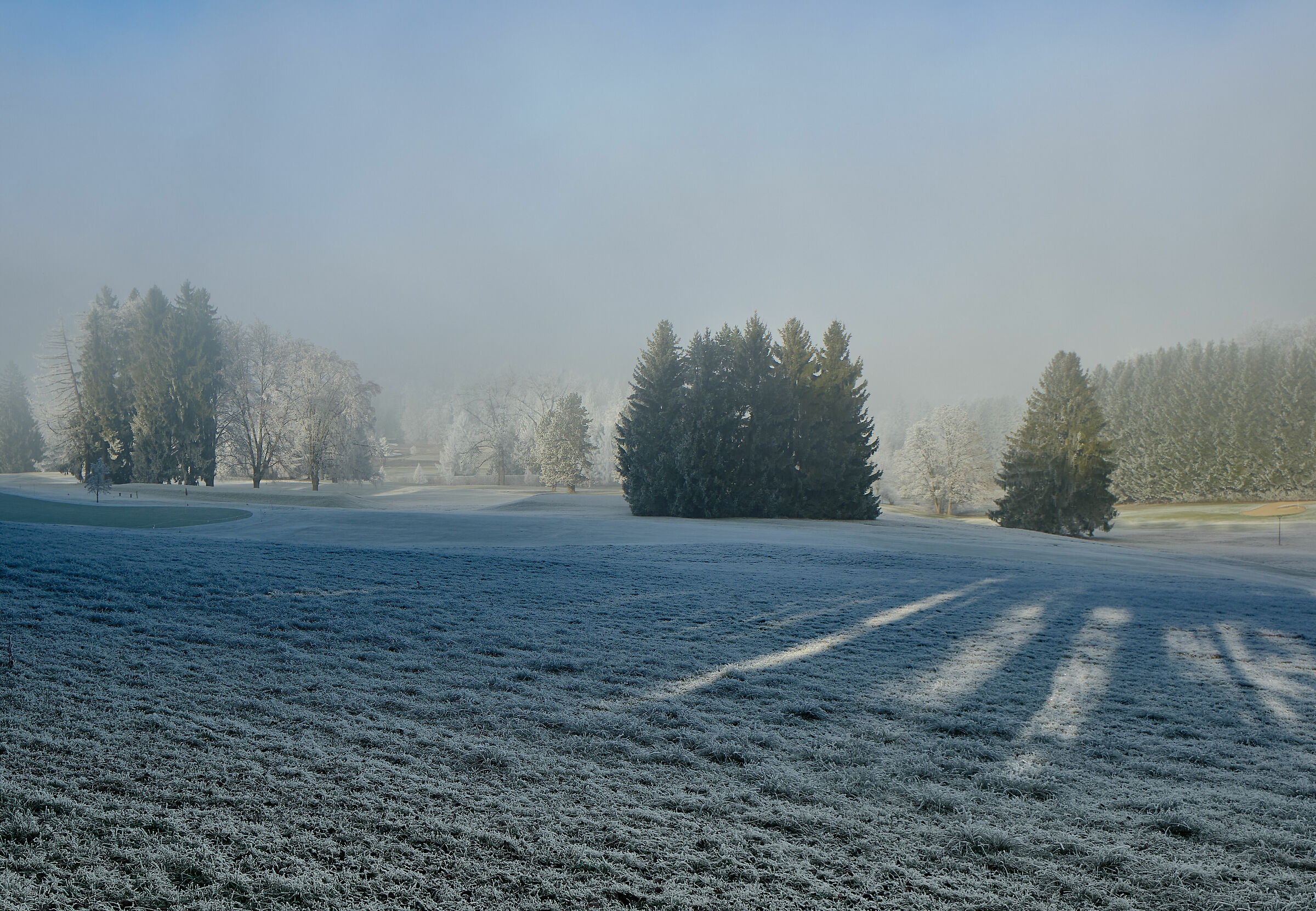 In the kingdom of Frozen