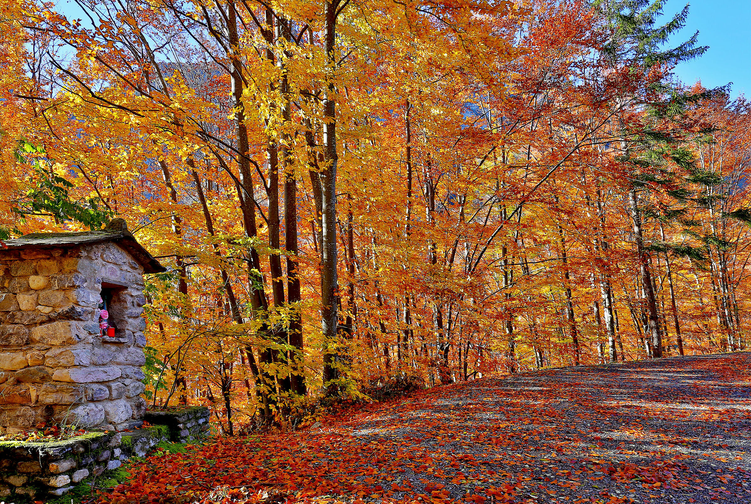 Autunno a Upega (cn)