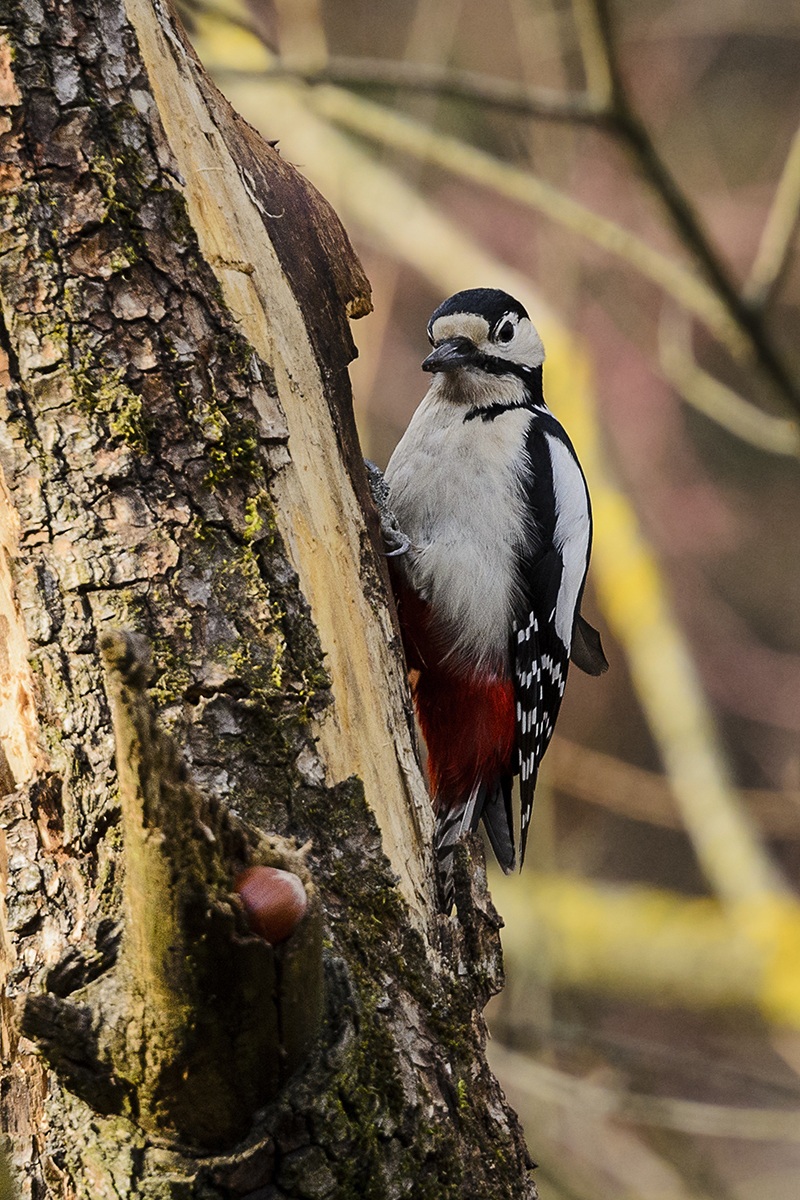 That's where I have hidden