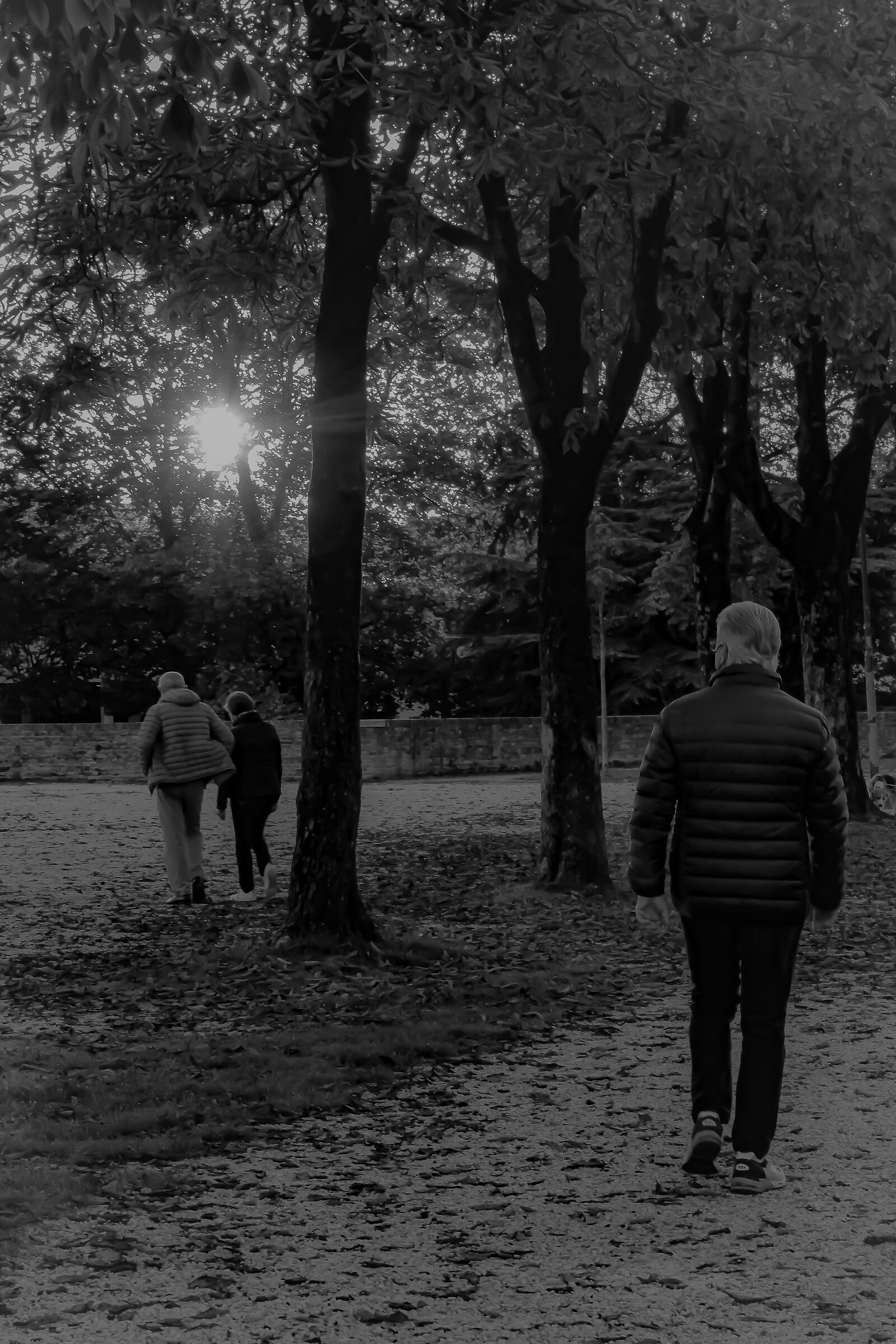 Two steps in company