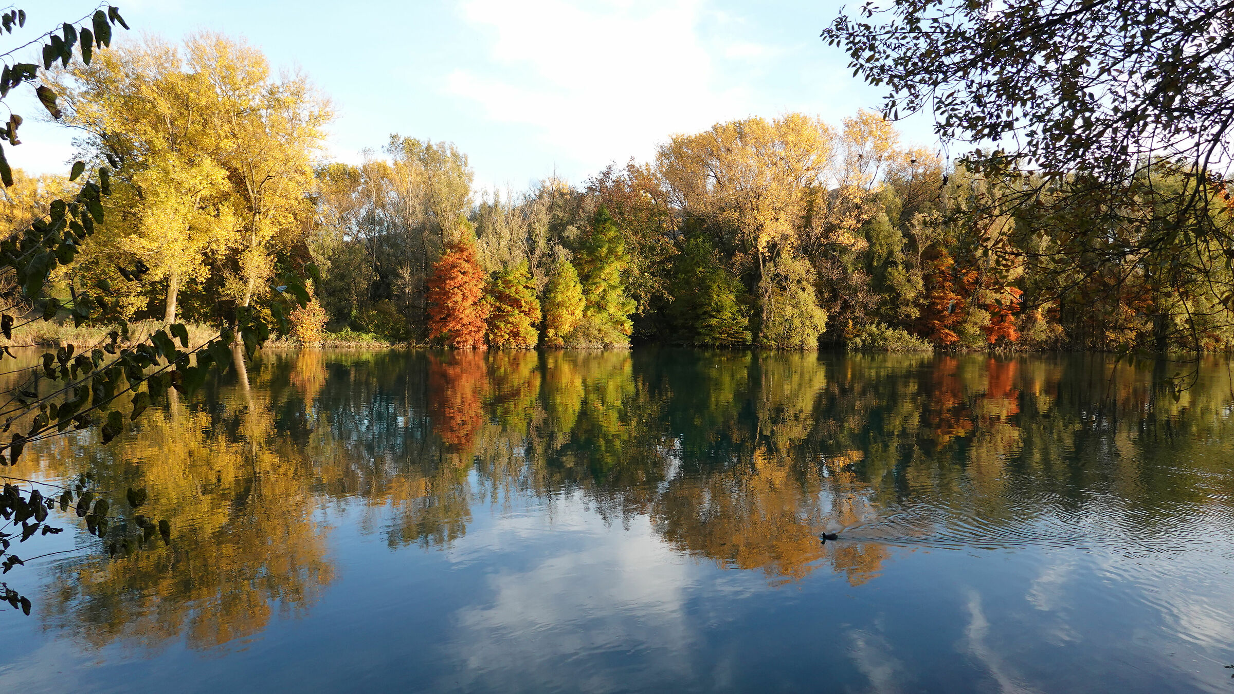 Adda presso Brivio 2