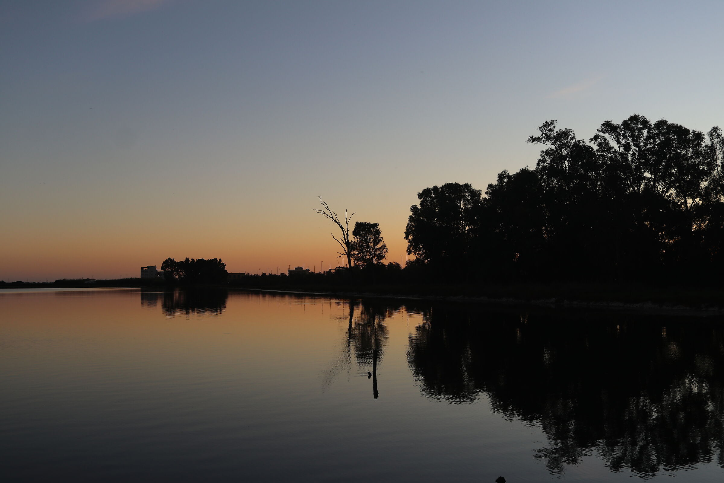 Riflessi sul lago di Fogliano