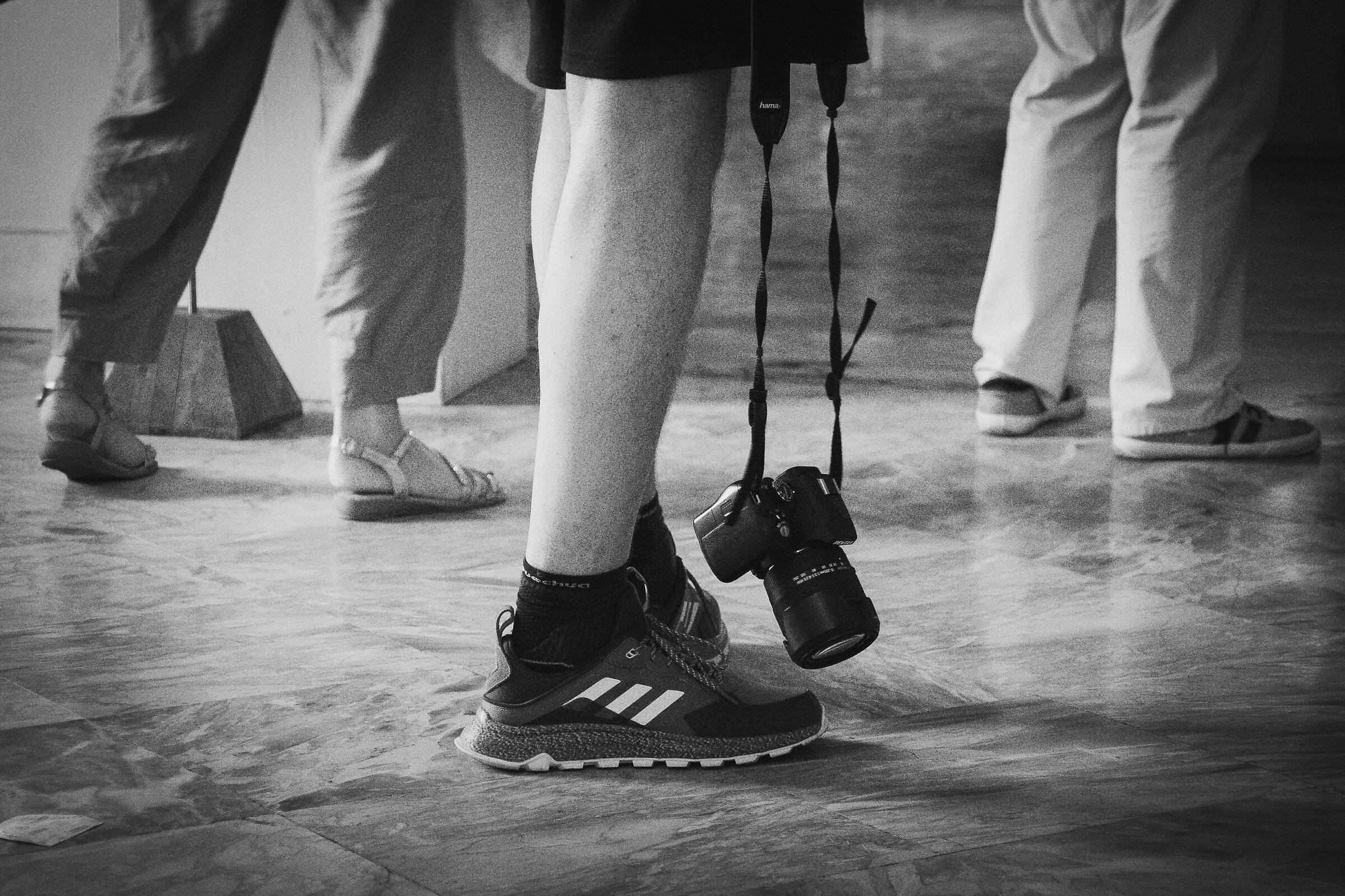 Camera al guinzaglio