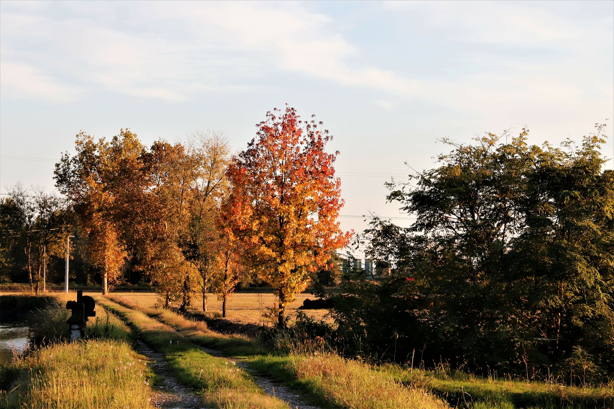 sul viale del tramonto!