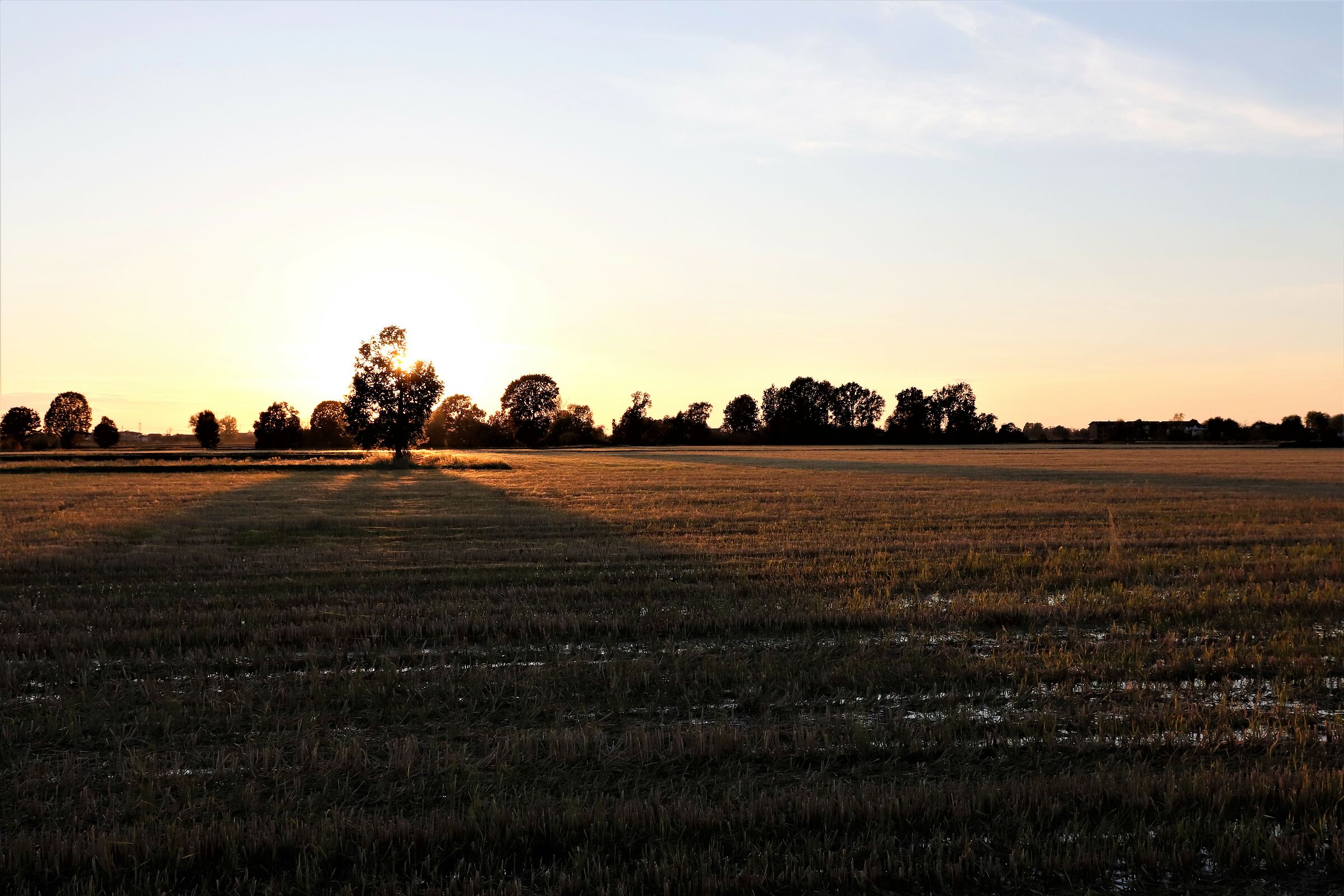 campagna pavese al tramonto