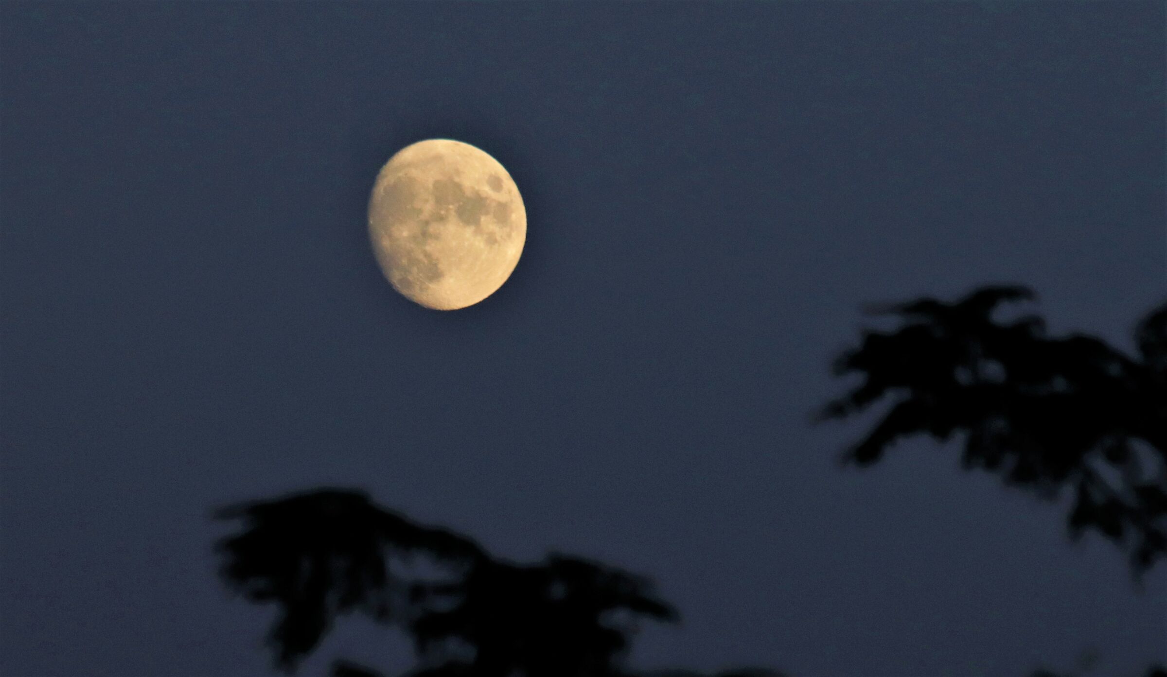 cala il sole sorge la luna