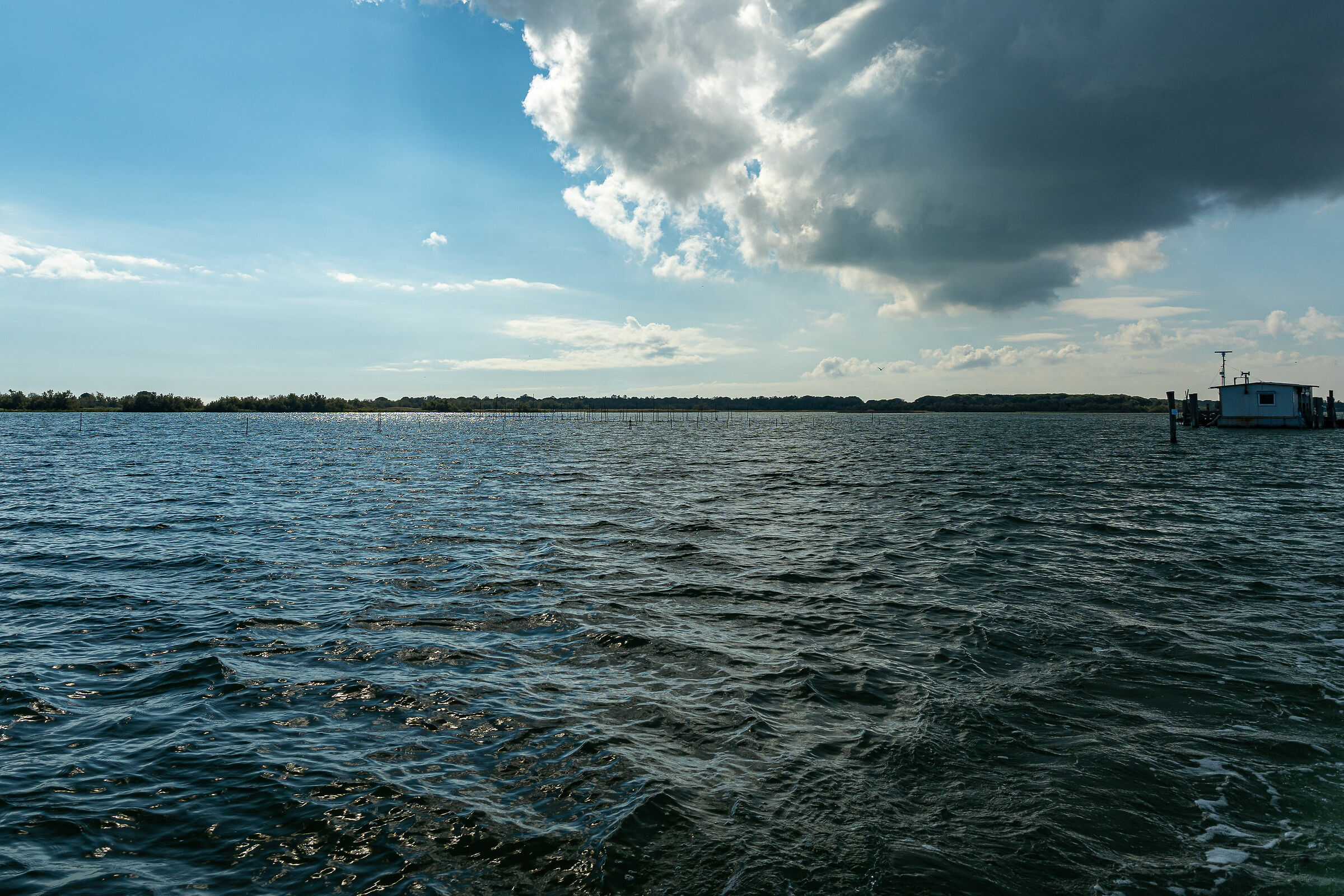 Volano - Tra mare e laguna