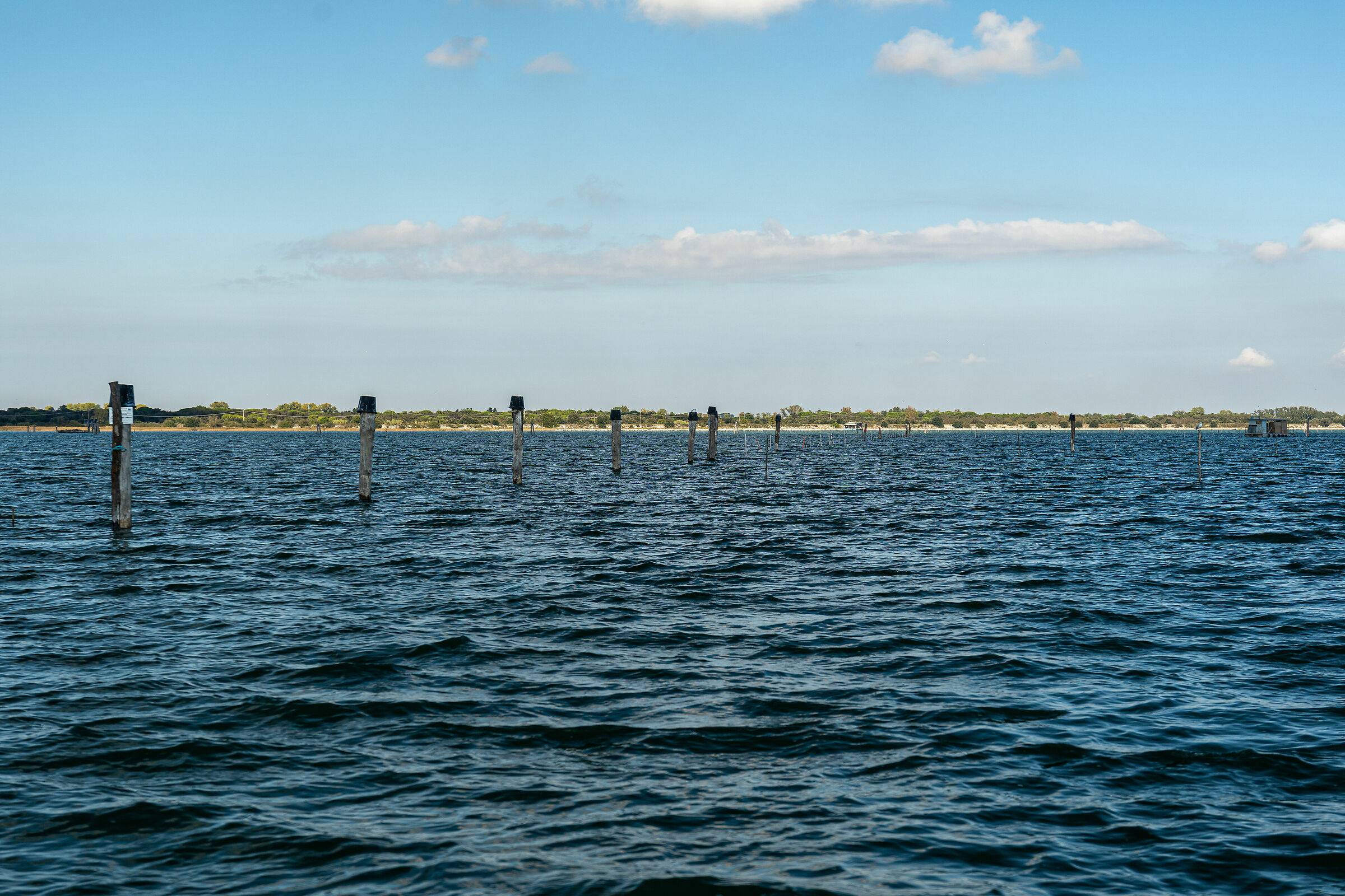 Volano - Tra mare e laguna