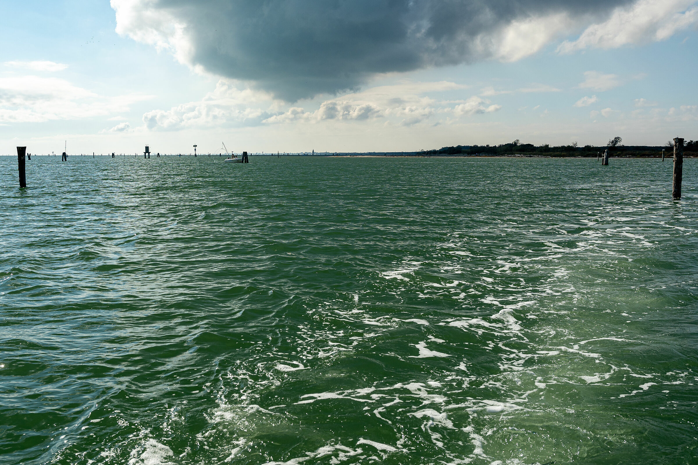 Volano - Tra mare e laguna