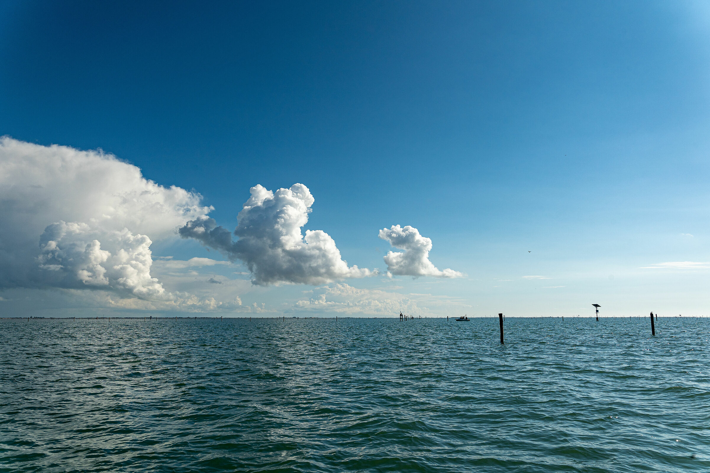 Volano - Tra mare e laguna