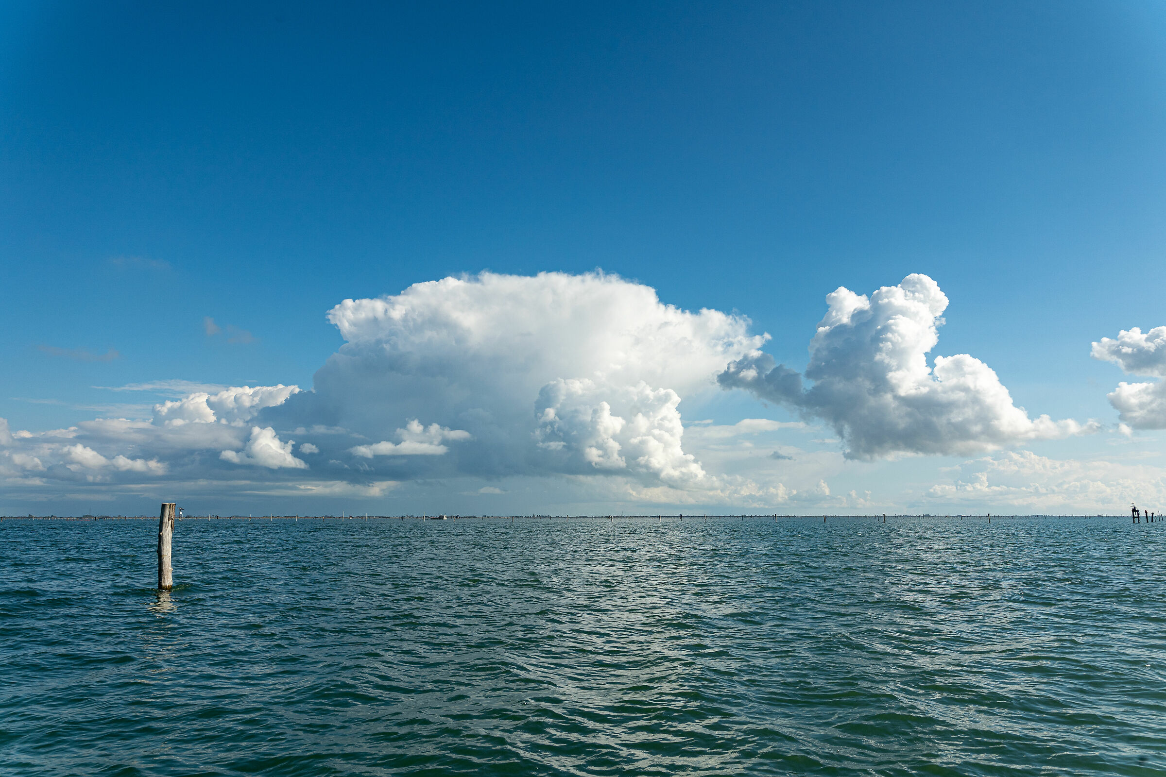 Volano - Tra mare e laguna