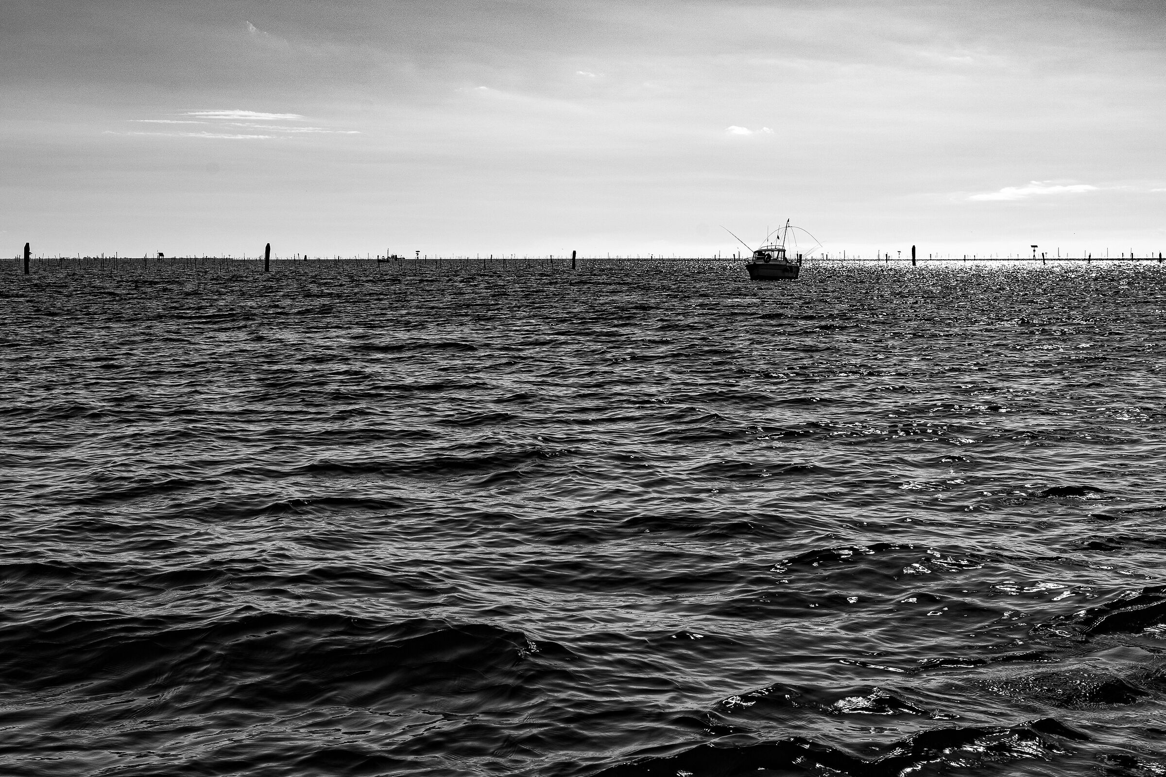 Volano - Tra mare e laguna