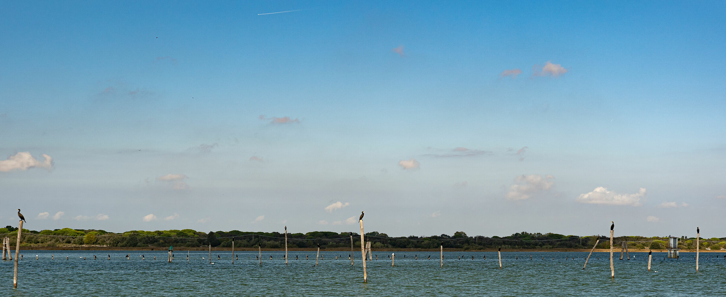 Volano - Tra mare e laguna