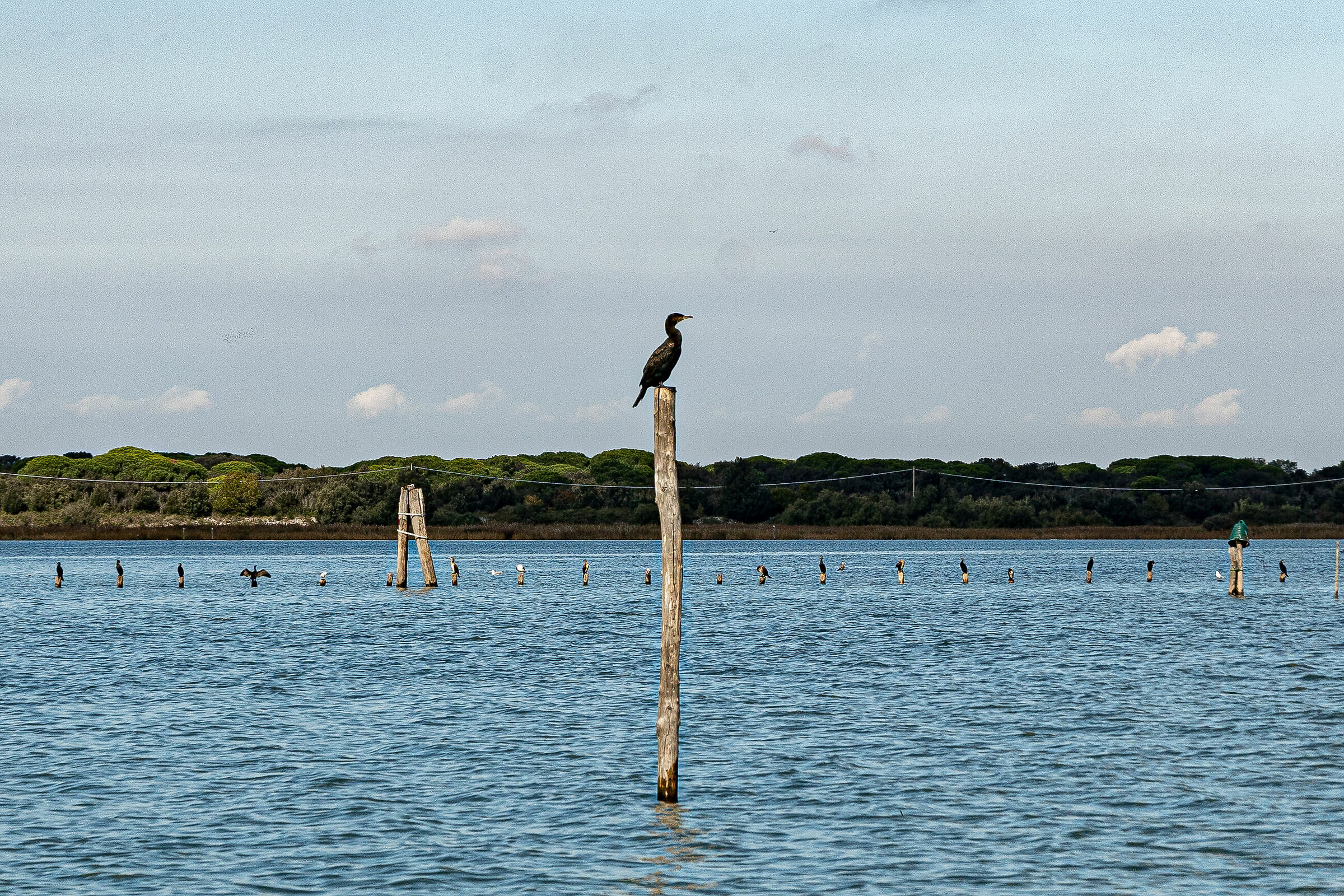 Volano - Tra mare e laguna
