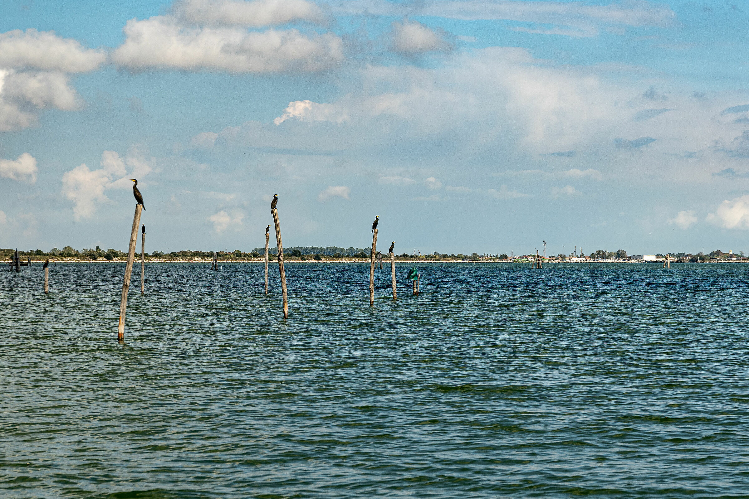 Volano - Tra mare e laguna