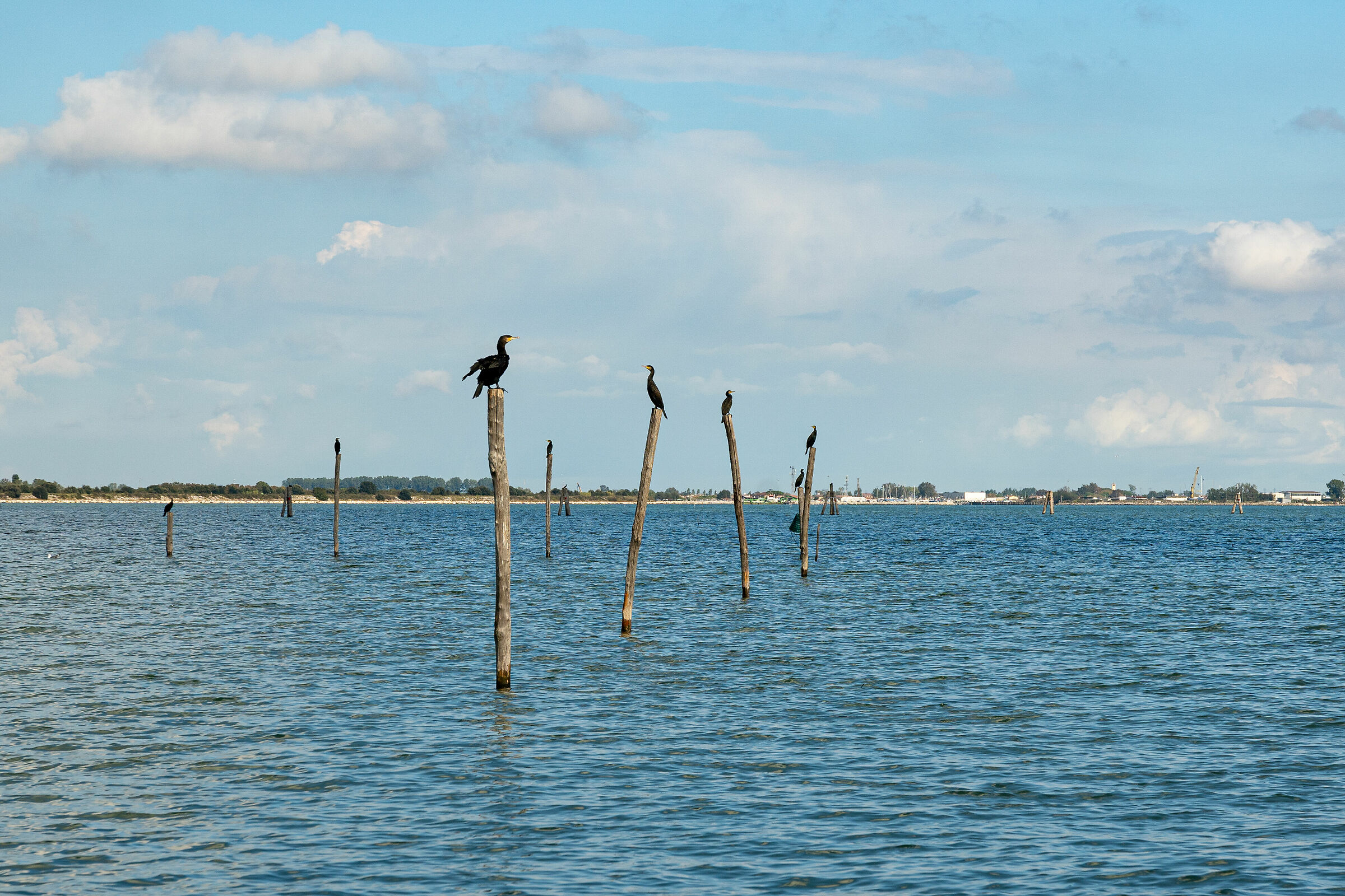 Volano - Tra mare e laguna