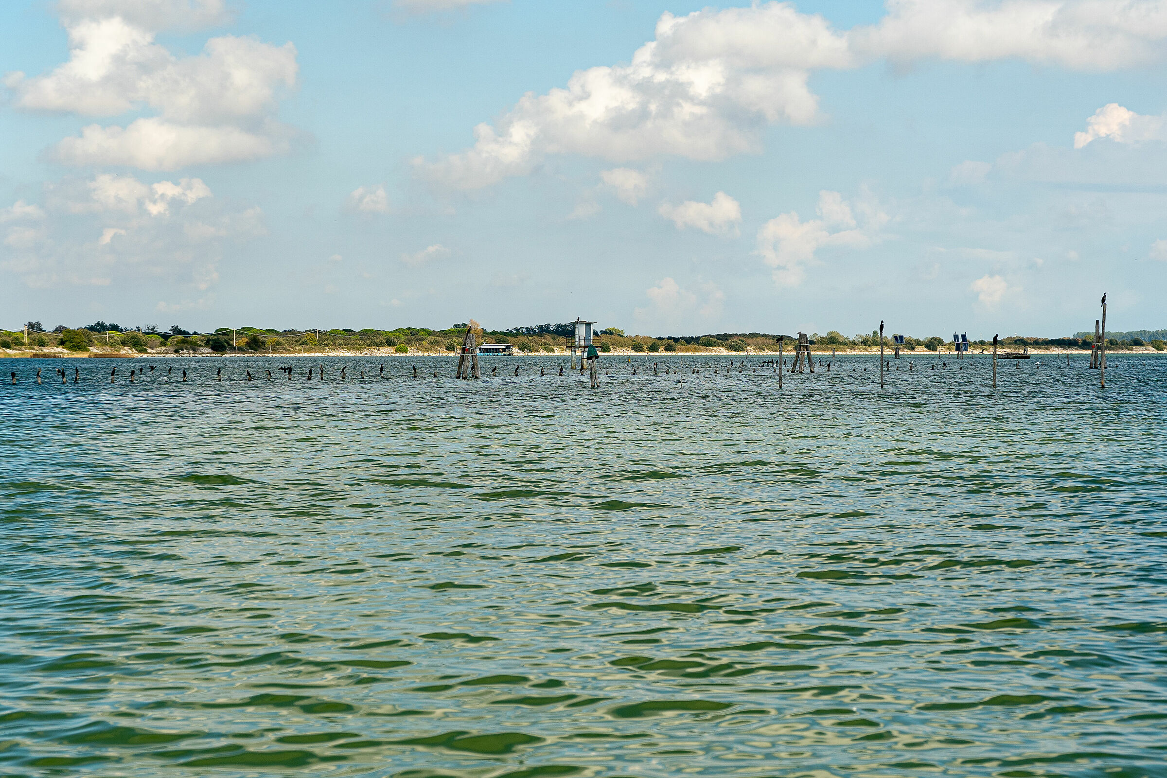 Volano - Tra mare e laguna