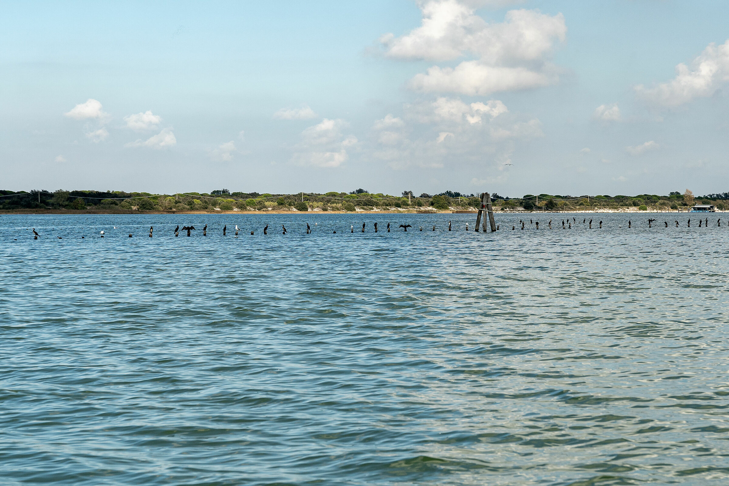 Volano - Tra mare e laguna