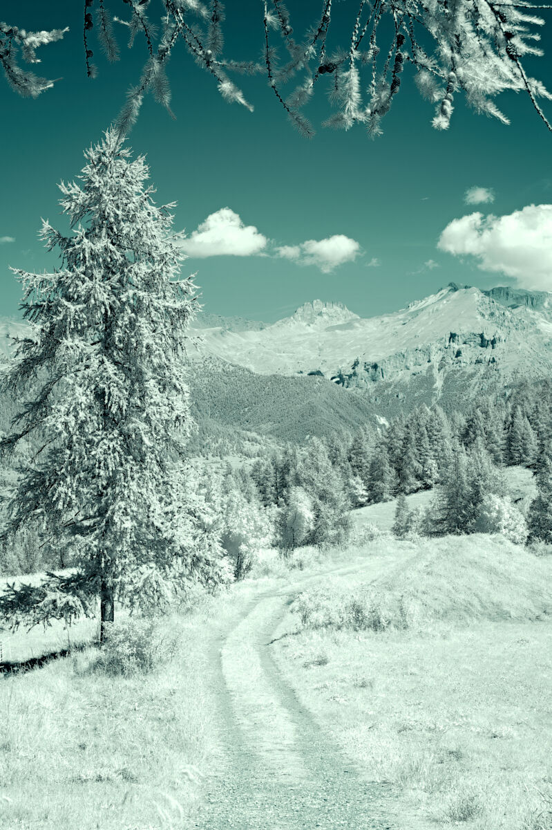 Winter advance
