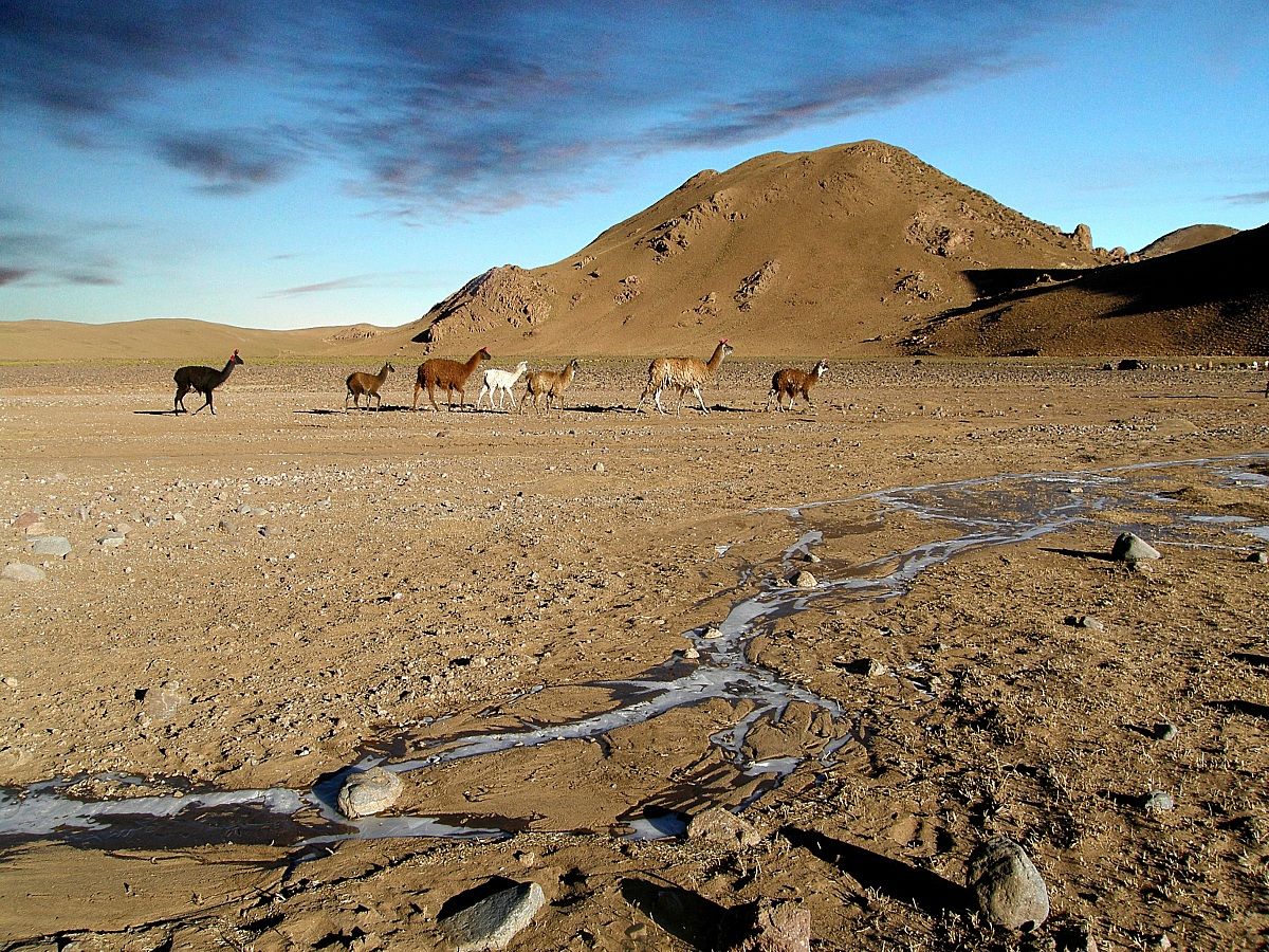Alba sull' Altiplano