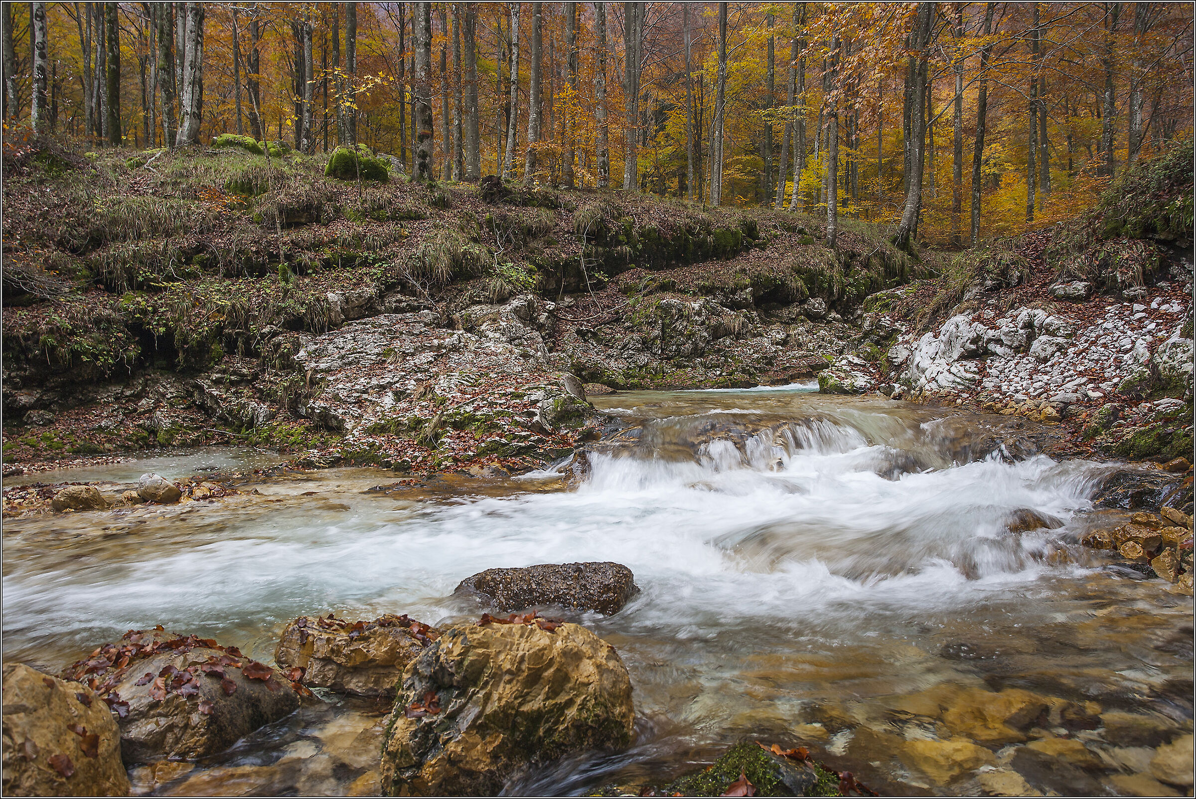 autunno torrente Arzino