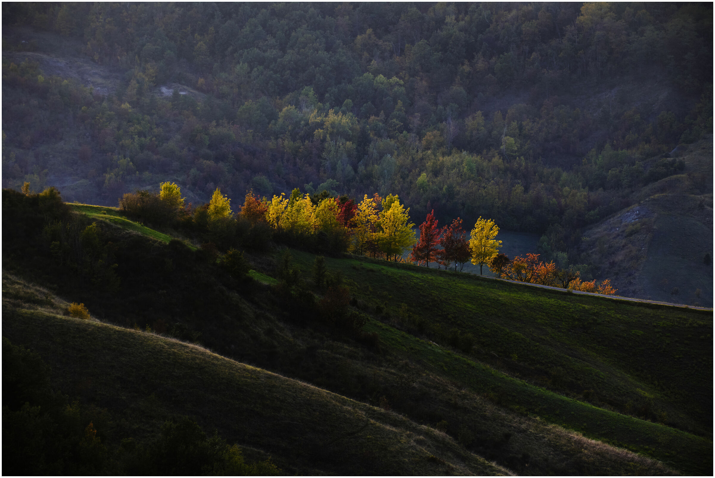 The colors of Via Montevecchio