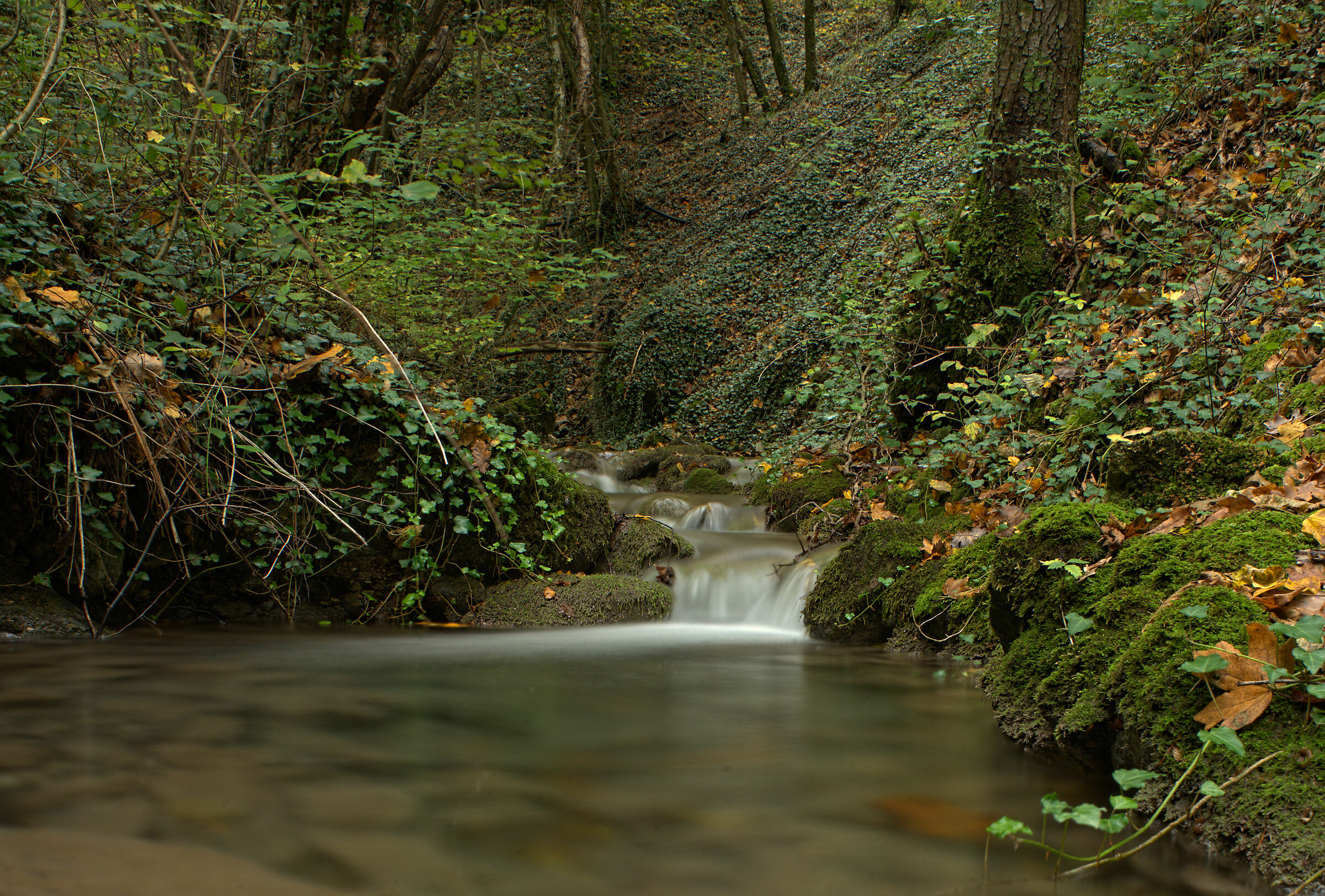 Torrente autunnale