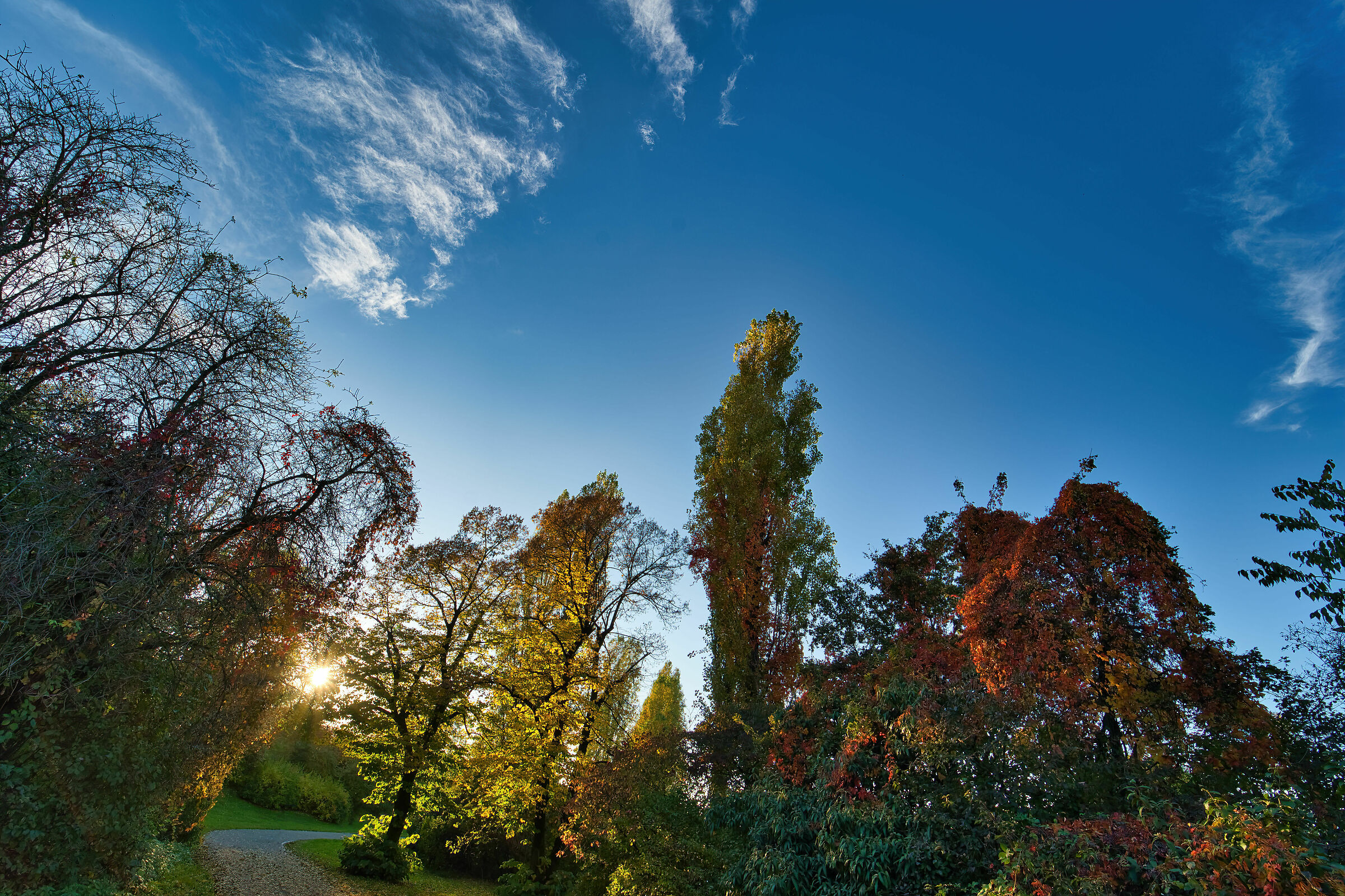 Parco Nord Milano Autumn Time