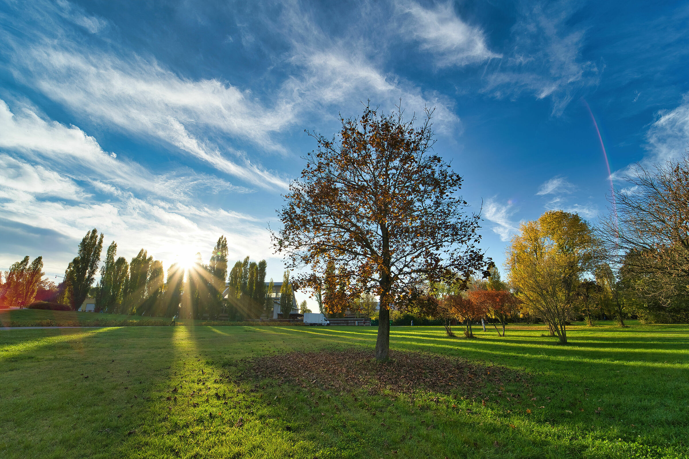 Parco Nord Milano Autumn Time