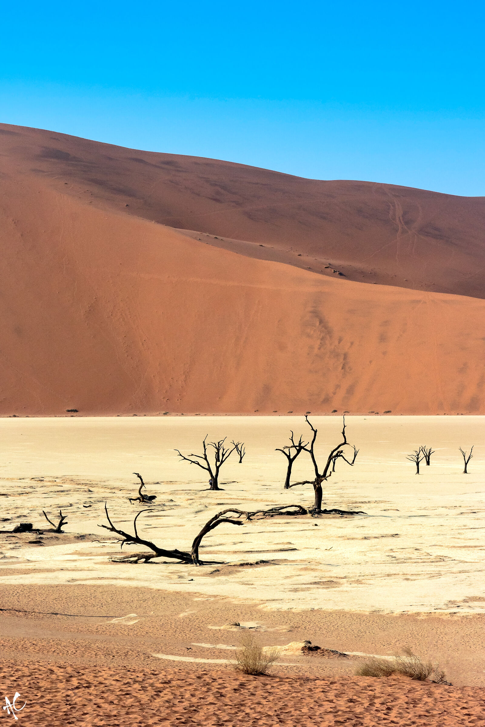 Sossusvlei , Namibia