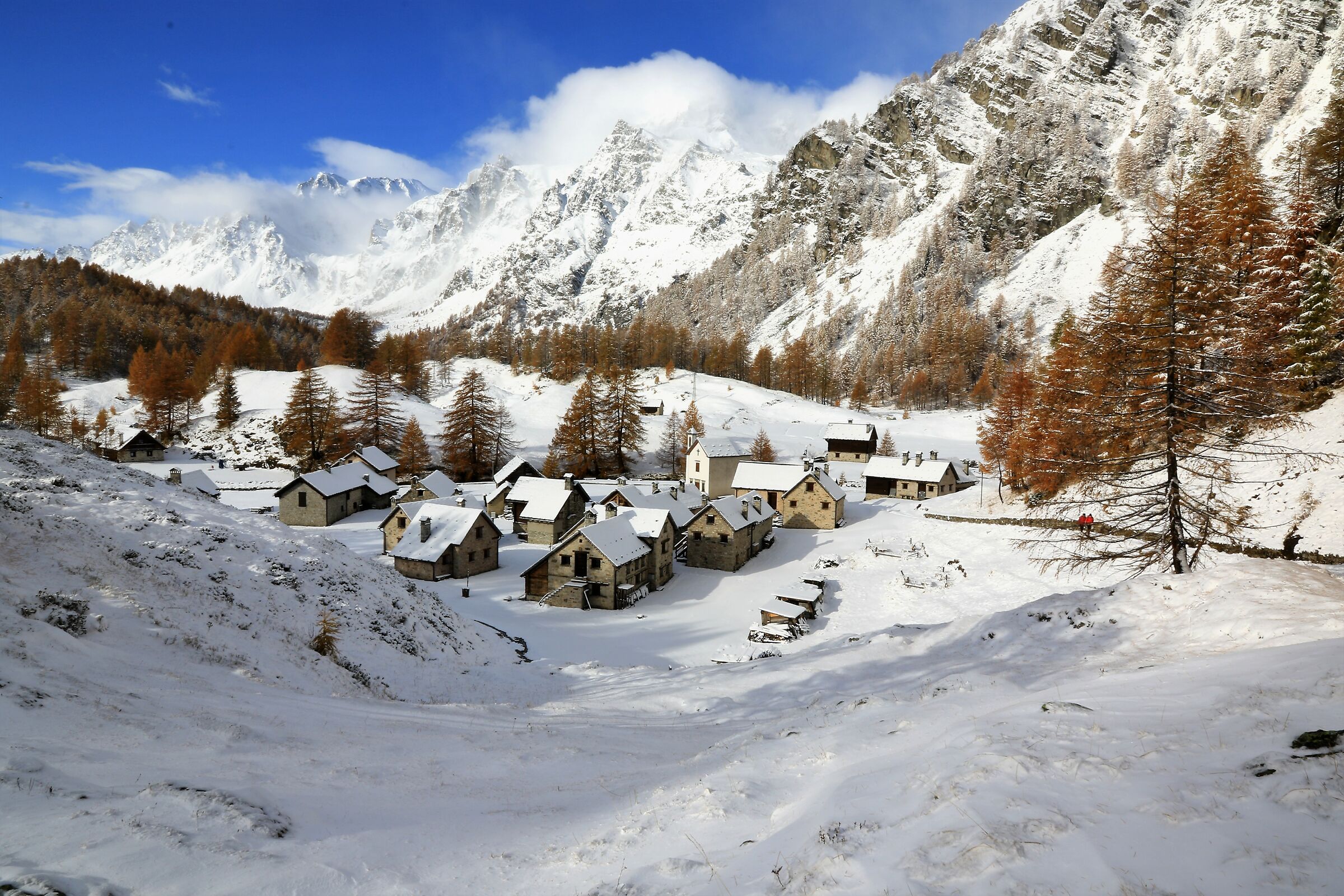 autumn crampiol with snow