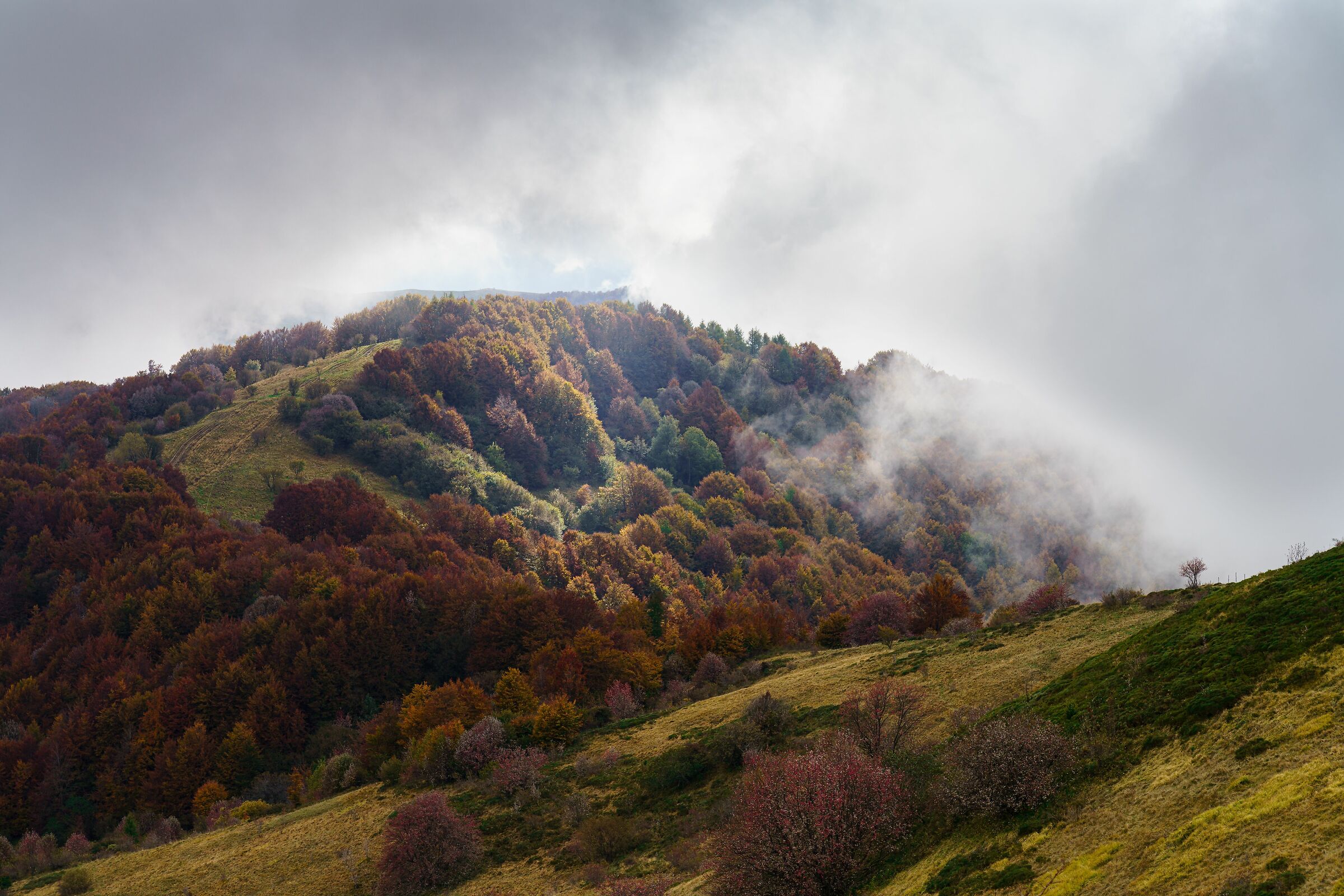 Semplicemente Ottobre