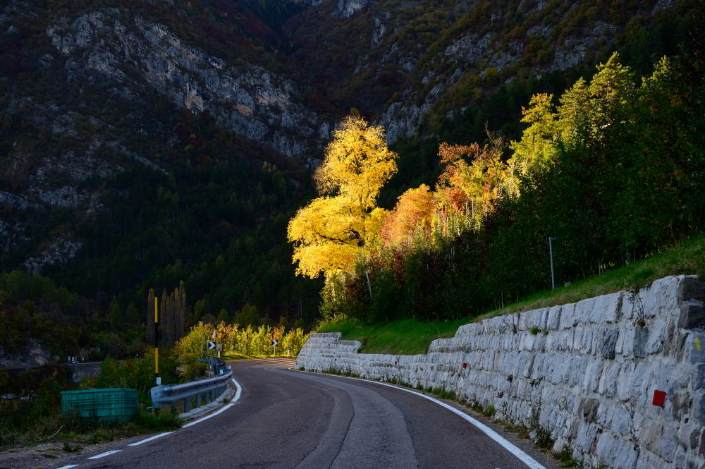 Tuenno (Tn) 28.10.20