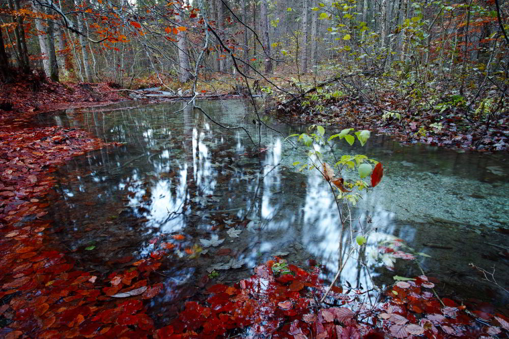 Valle di Tovel (Tn) 28.10.20