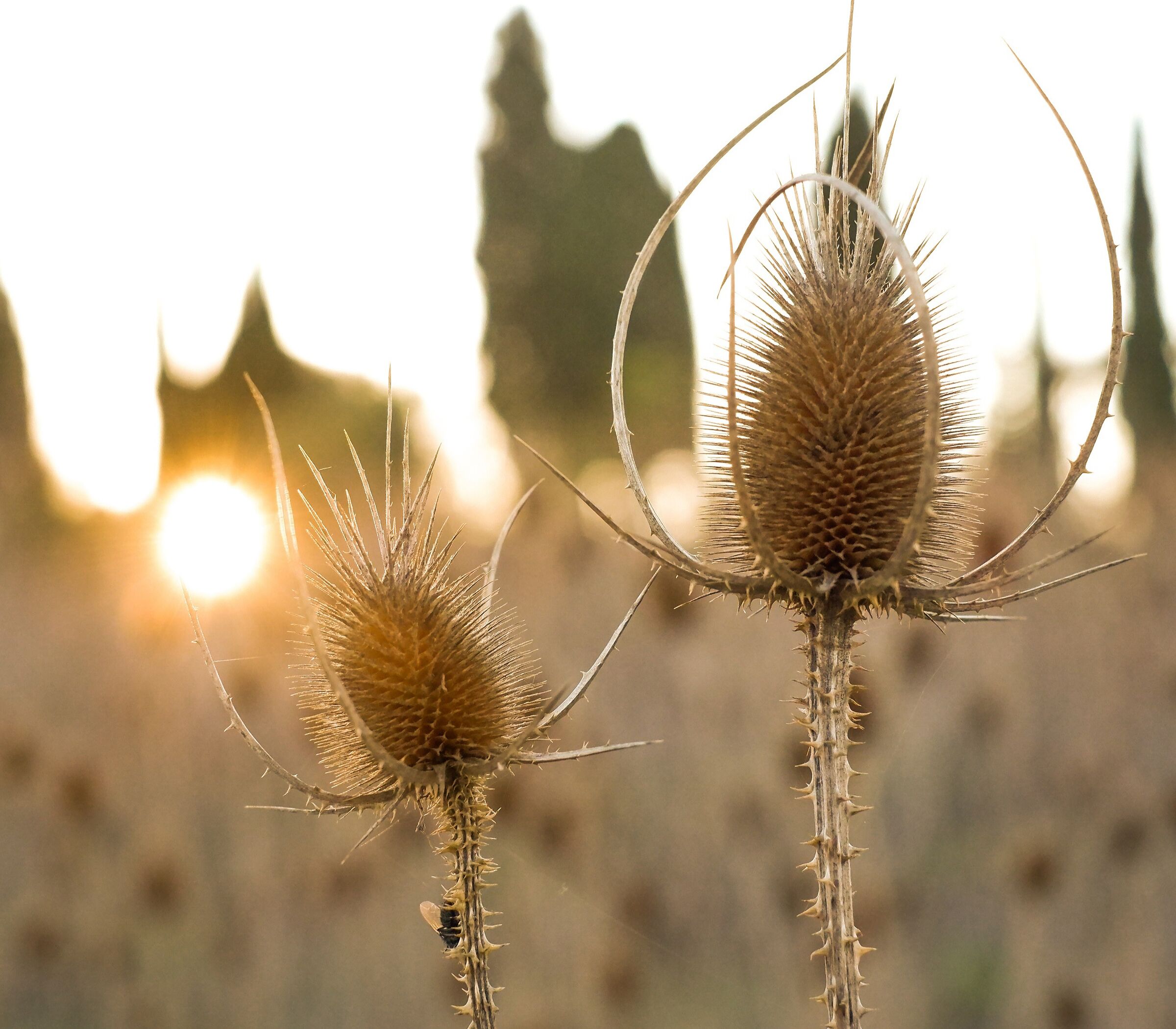 There's a crack in everything, that's how light comes in.