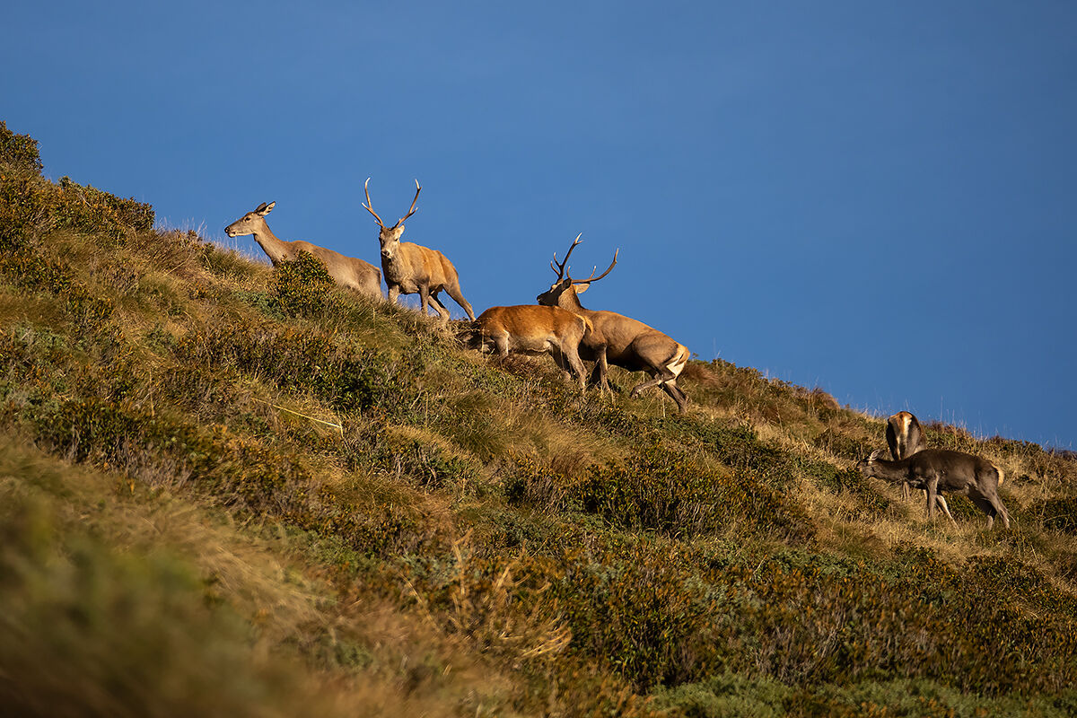 Vicinanza pericolosa