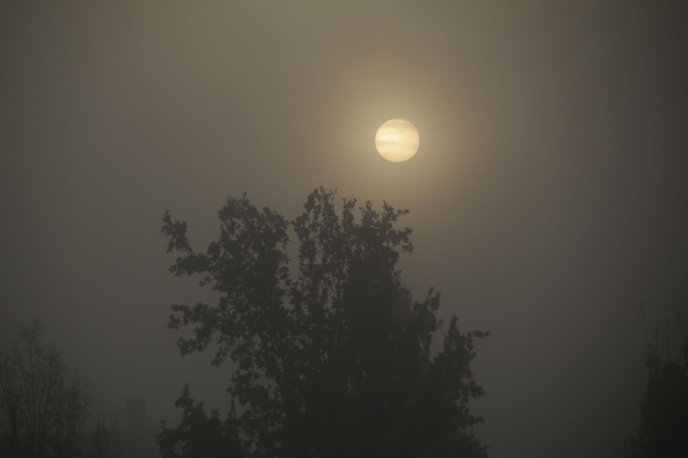 Bucare la nebbia