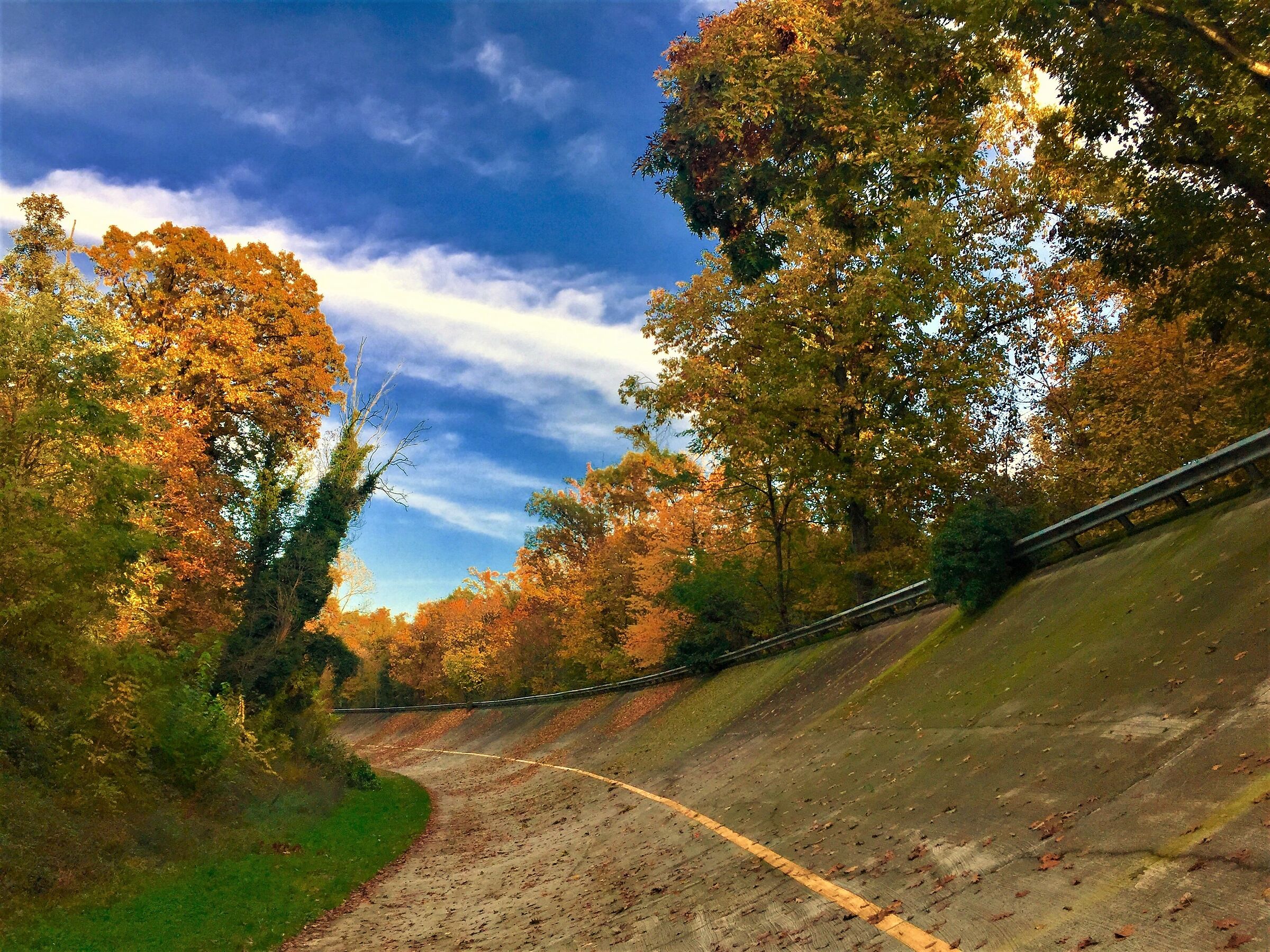 Autunno in sopraelevata 2