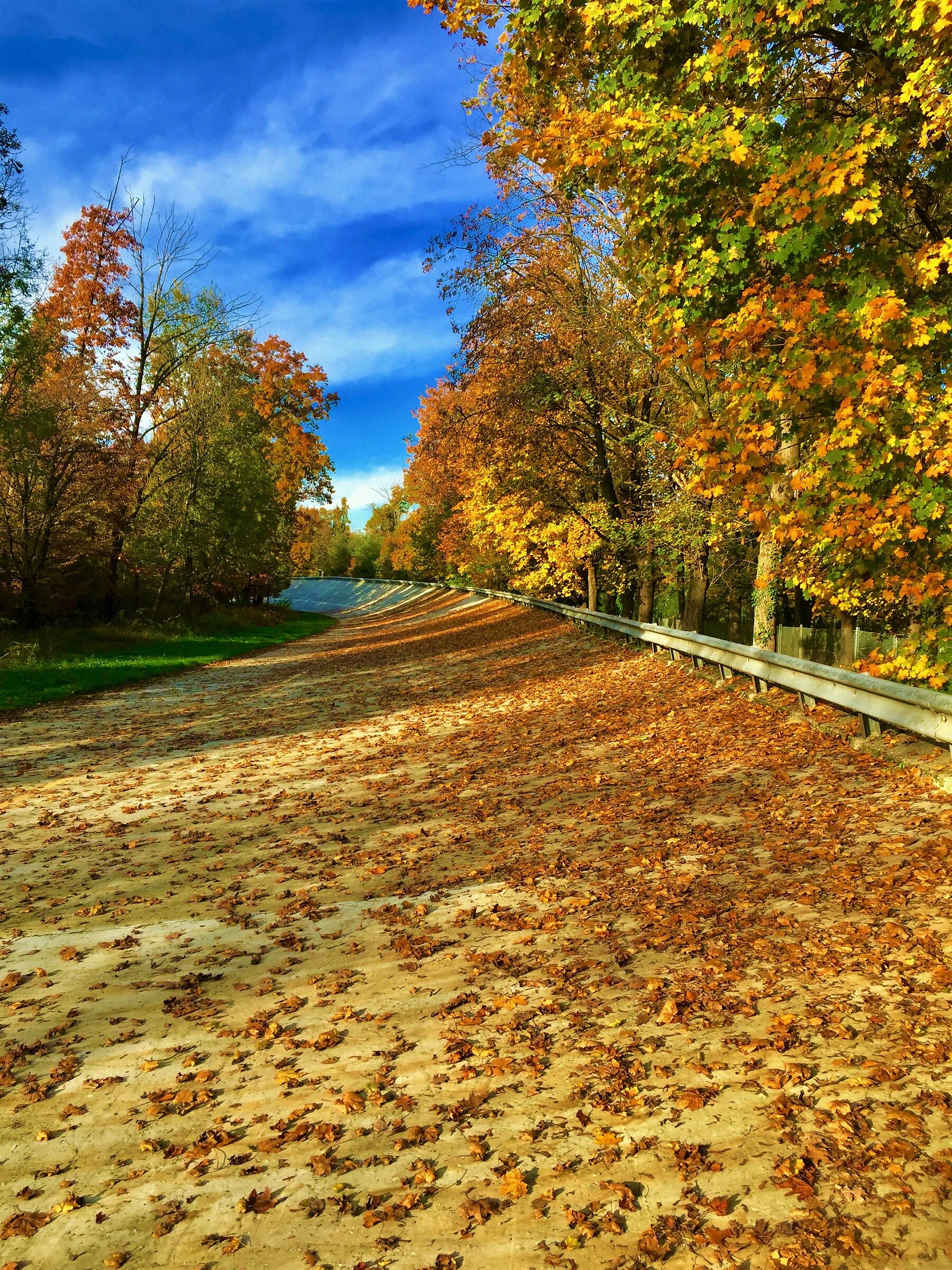 Autunno in sopraelevata 3