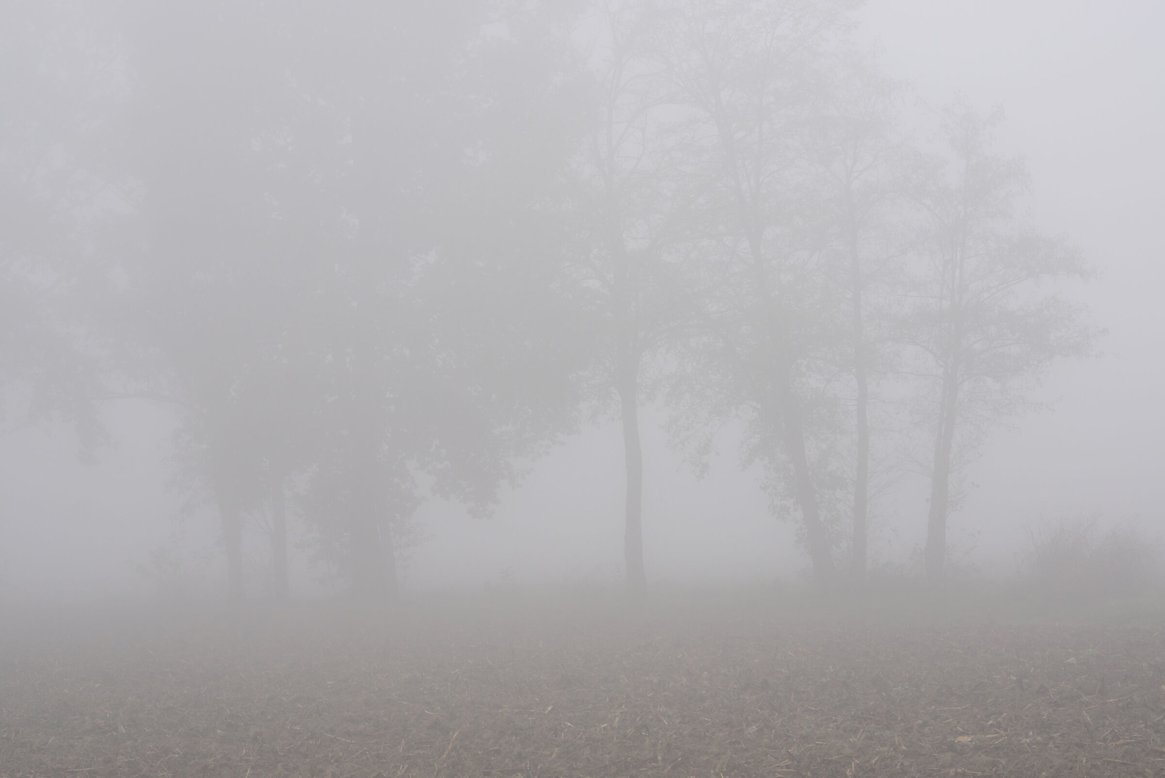 Sovraesposizione?...No...Nebbia!!