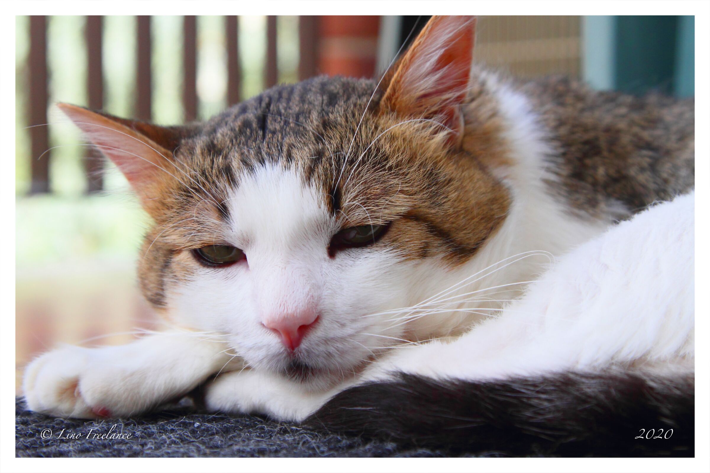 Scusa...me se chiudono l'occhi...