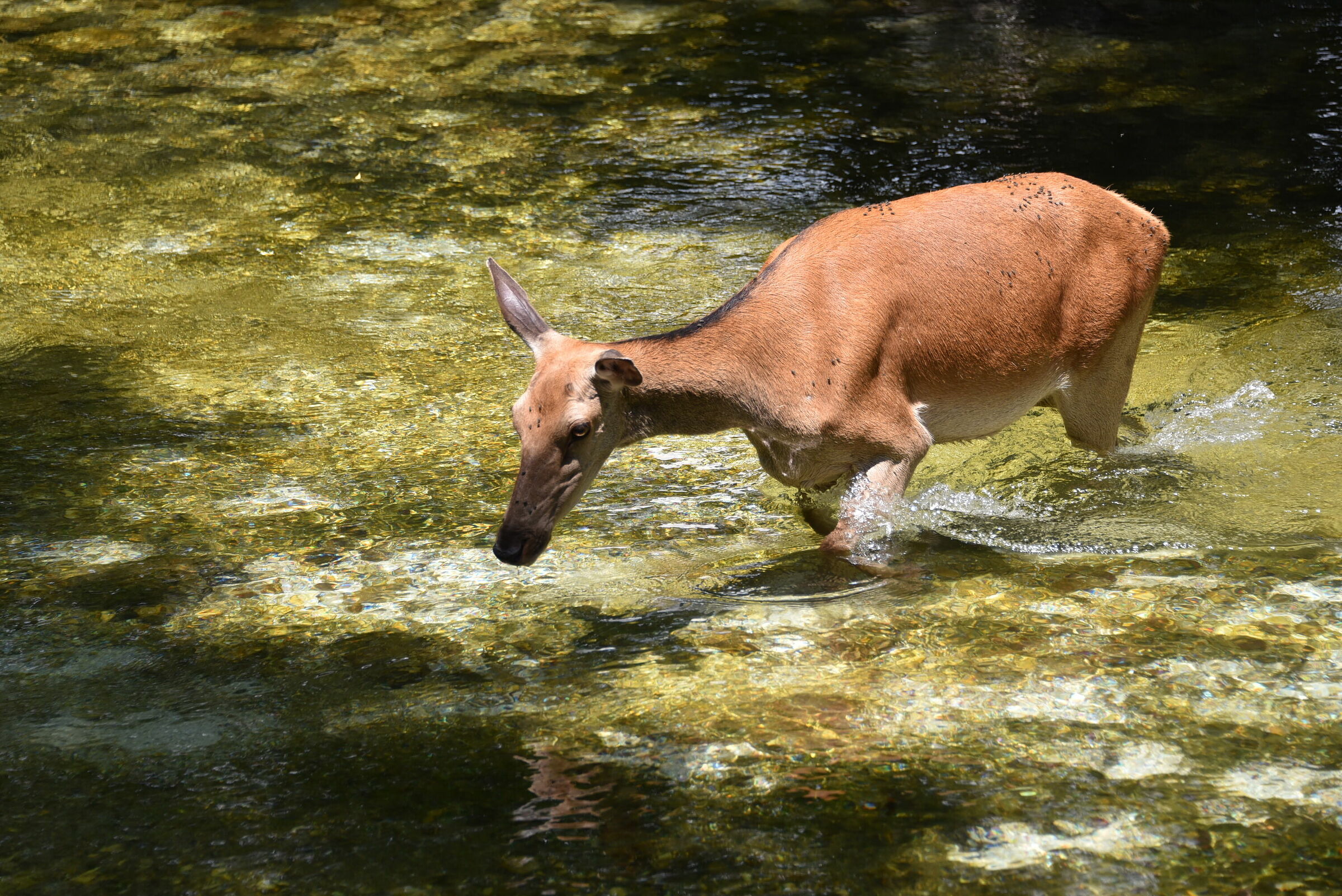 beauty in the bathroom