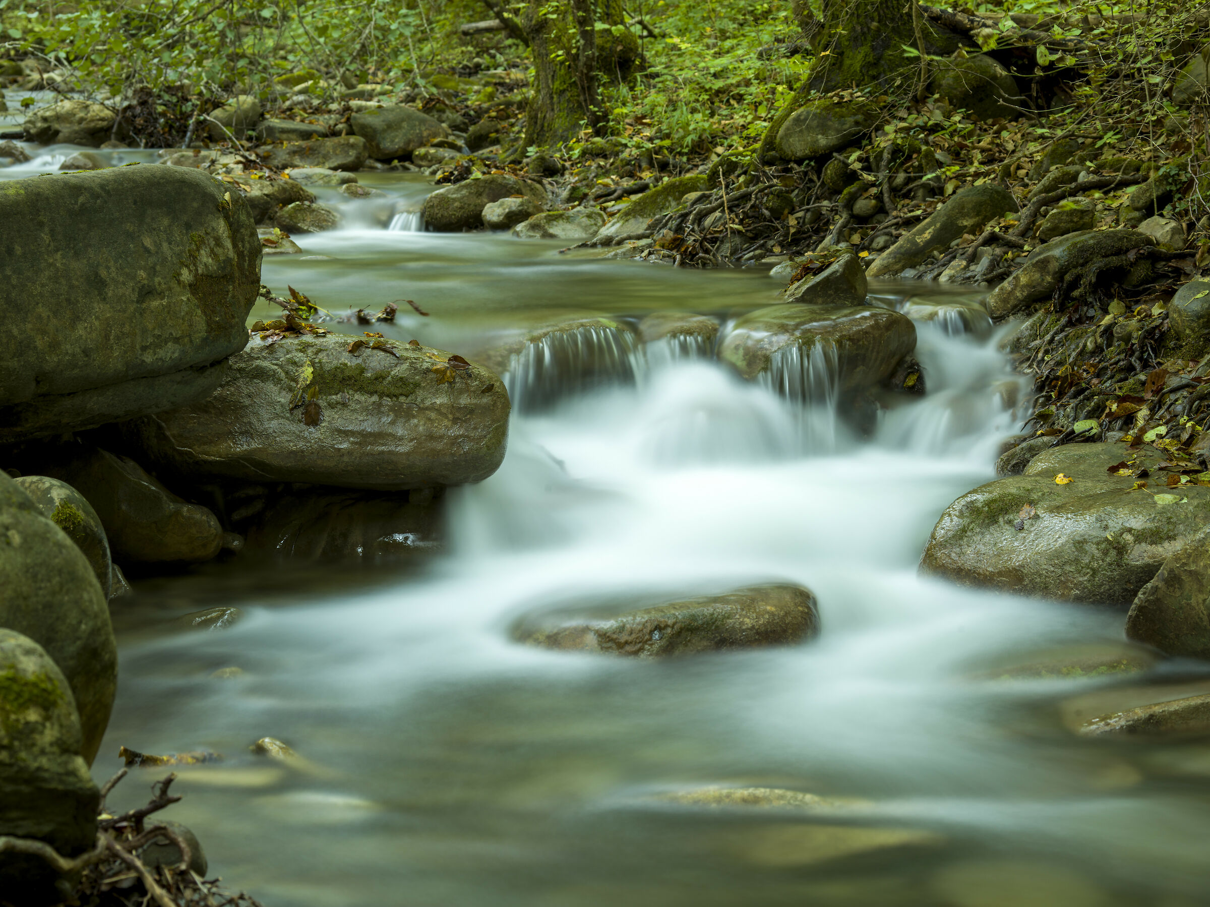 The slow flow of water