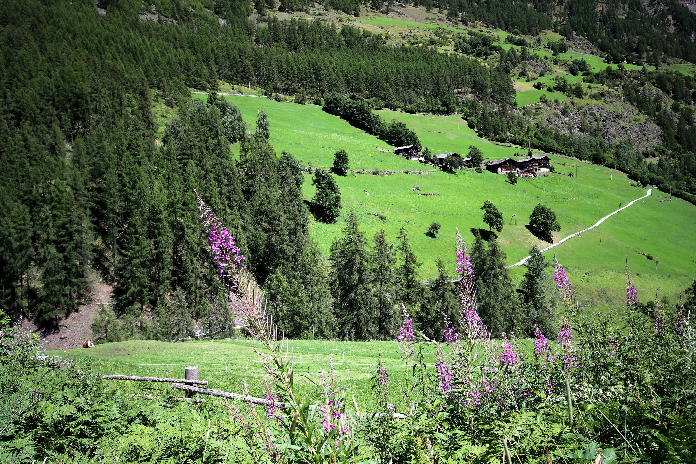 Val Senales Trentino South Tyrol