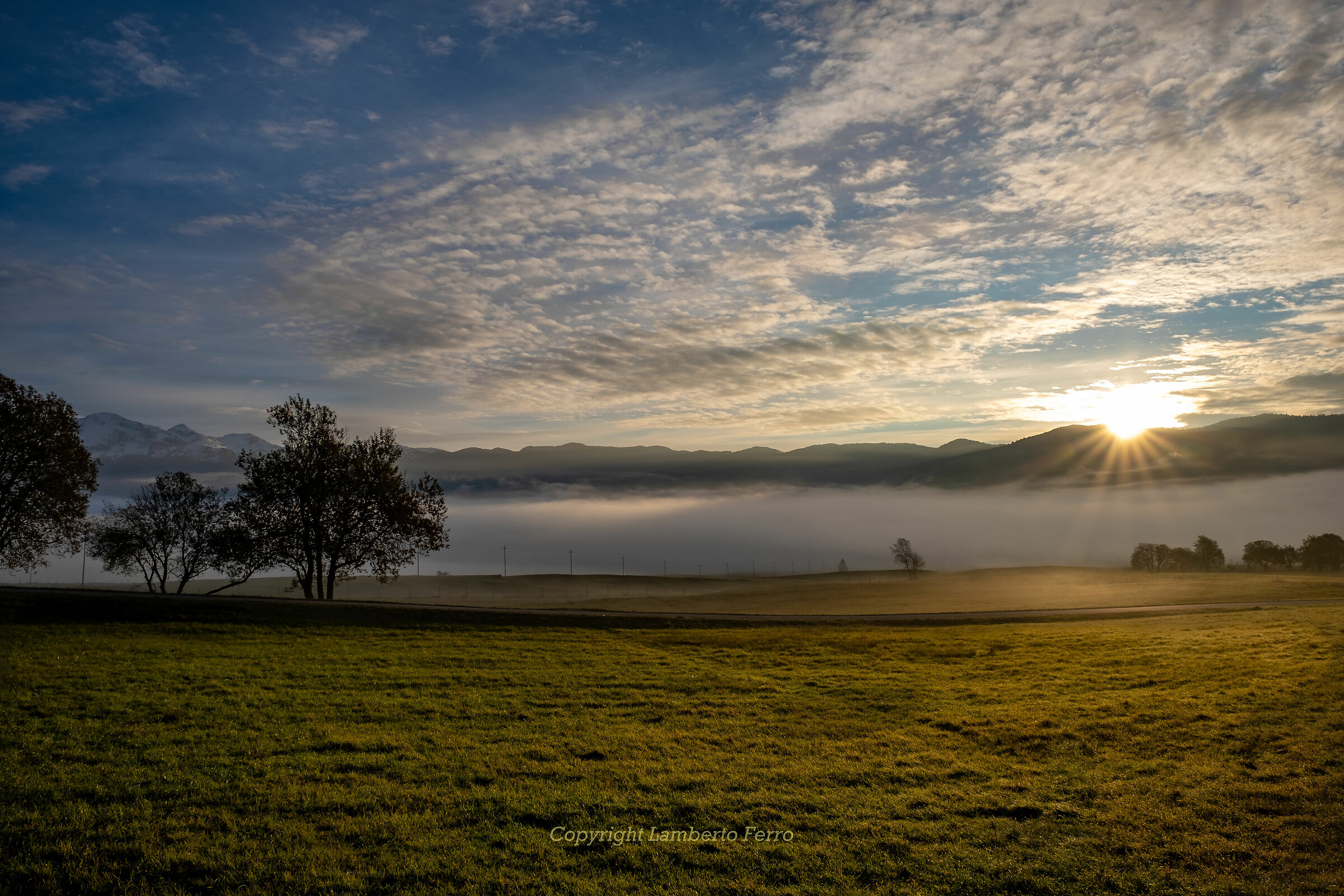 Morning in the kennel