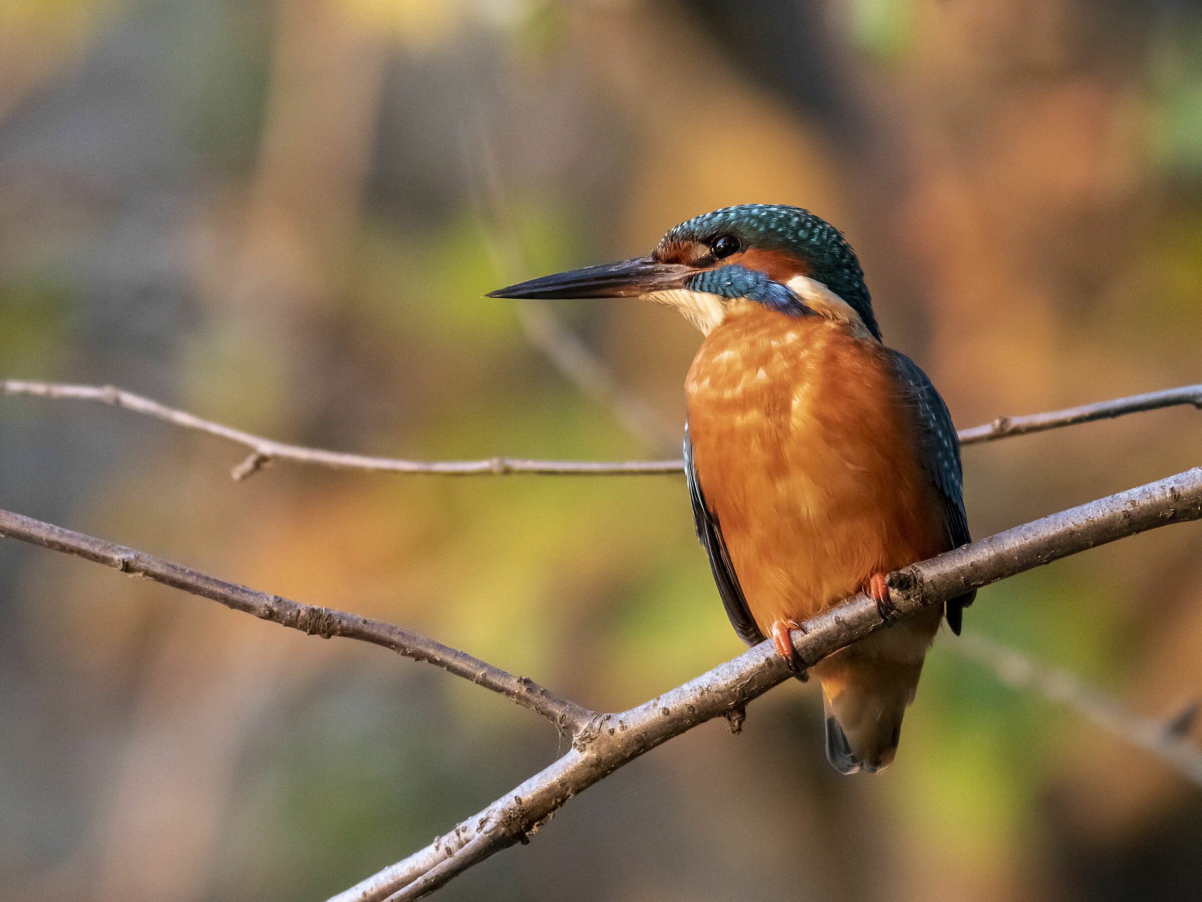 With your gaze towards sunset